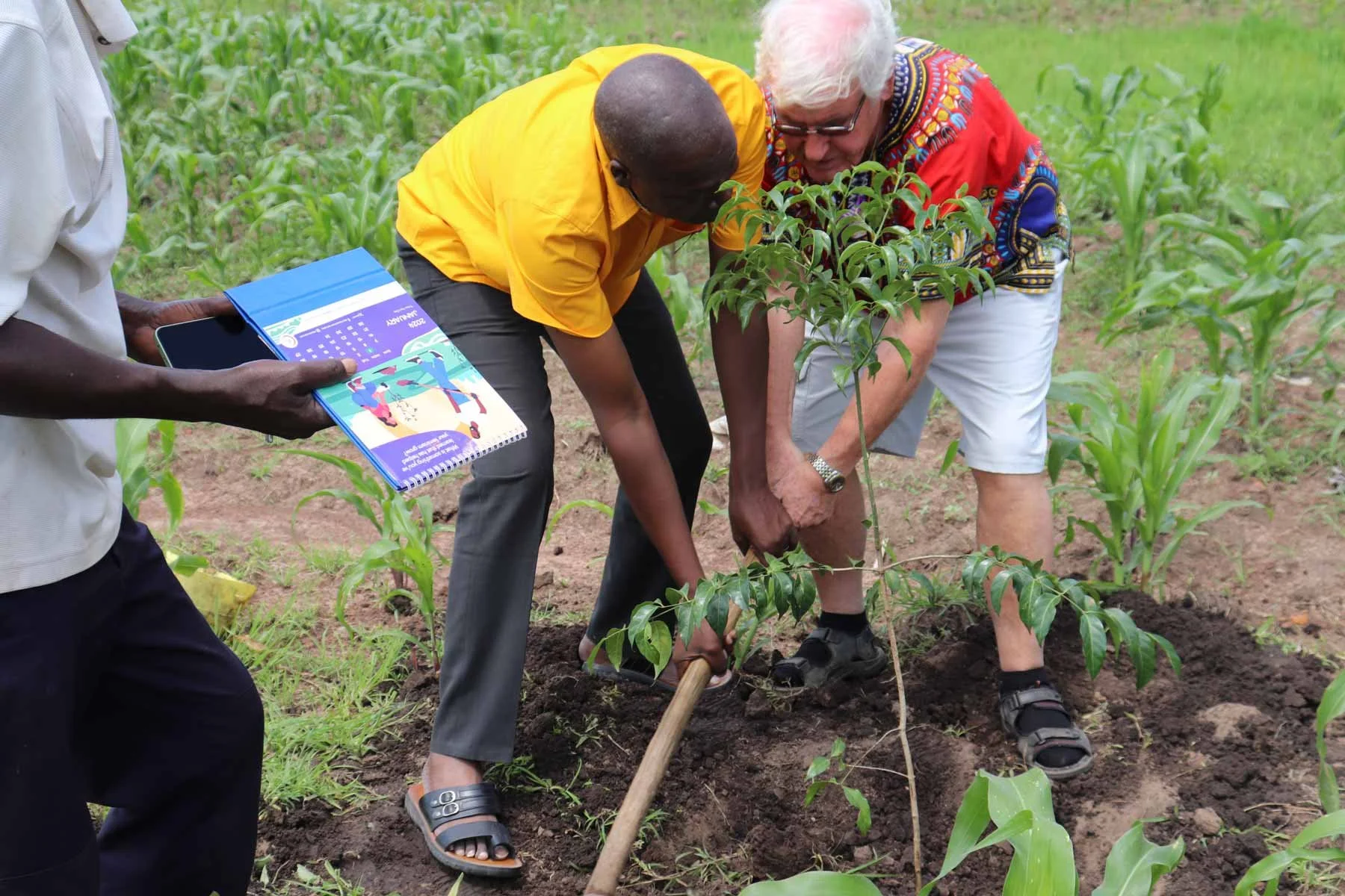 Growing of 15,000 Trees