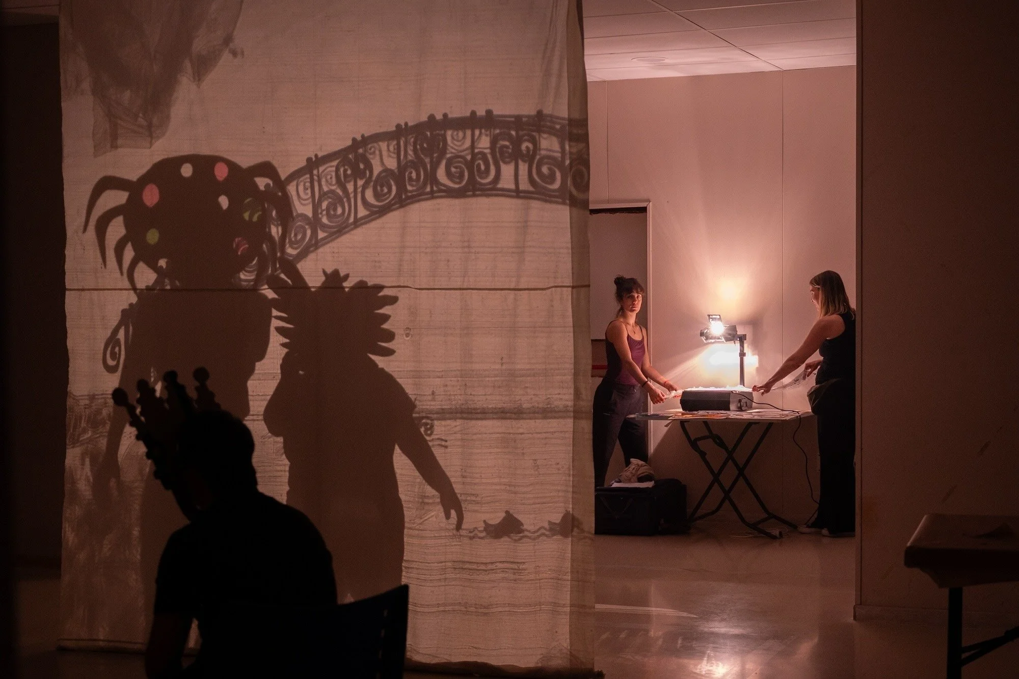 Teatro de sombras en taller de mediación