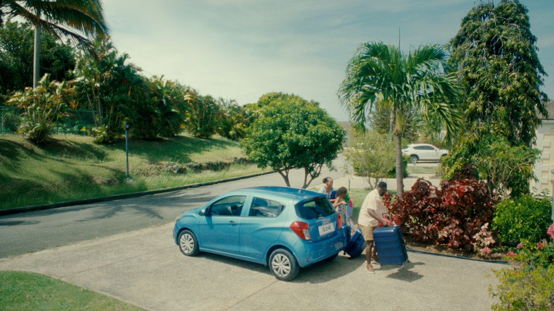 Wide angle shot of a blue car amongst a lush green suburb.