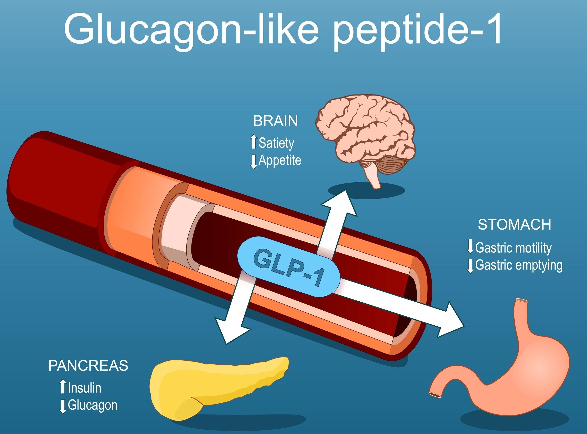 Evaluating the Risk of Lean Mass Reduction During GLP-1 Receptor Agonist Therapy