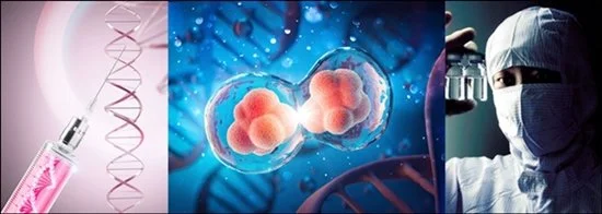🟡 “Clinical Trial Costs Surge... Industry Pushes to Loosen Co-Development Restrictions”