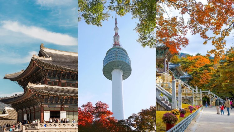 BCA – Republic of Korea