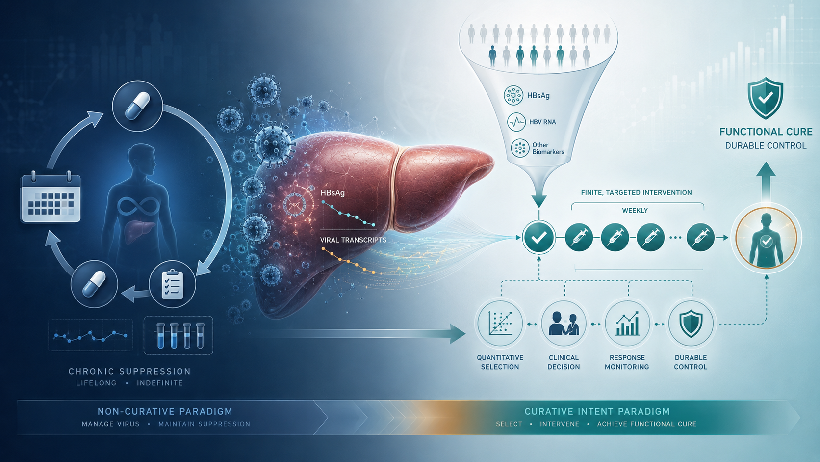 Bepirovirsen and the Structural Shift Behind Chronic Hepatitis B Treatment