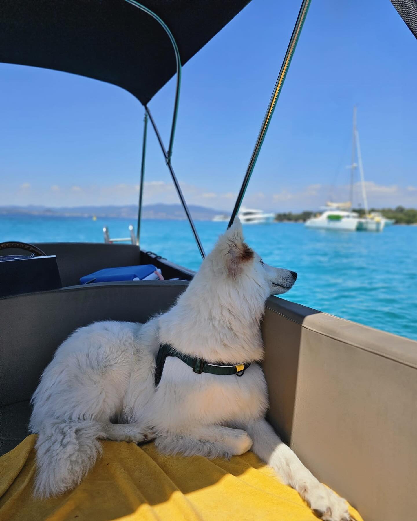 Les beaux jours sont de retour !☀️
Une journée d’anniversaire accompagné de toutes la famille, même le chien à bord ! 🐶
Merci au client pour les photos 📸
Réserver le par mail ou téléphone. ☎️