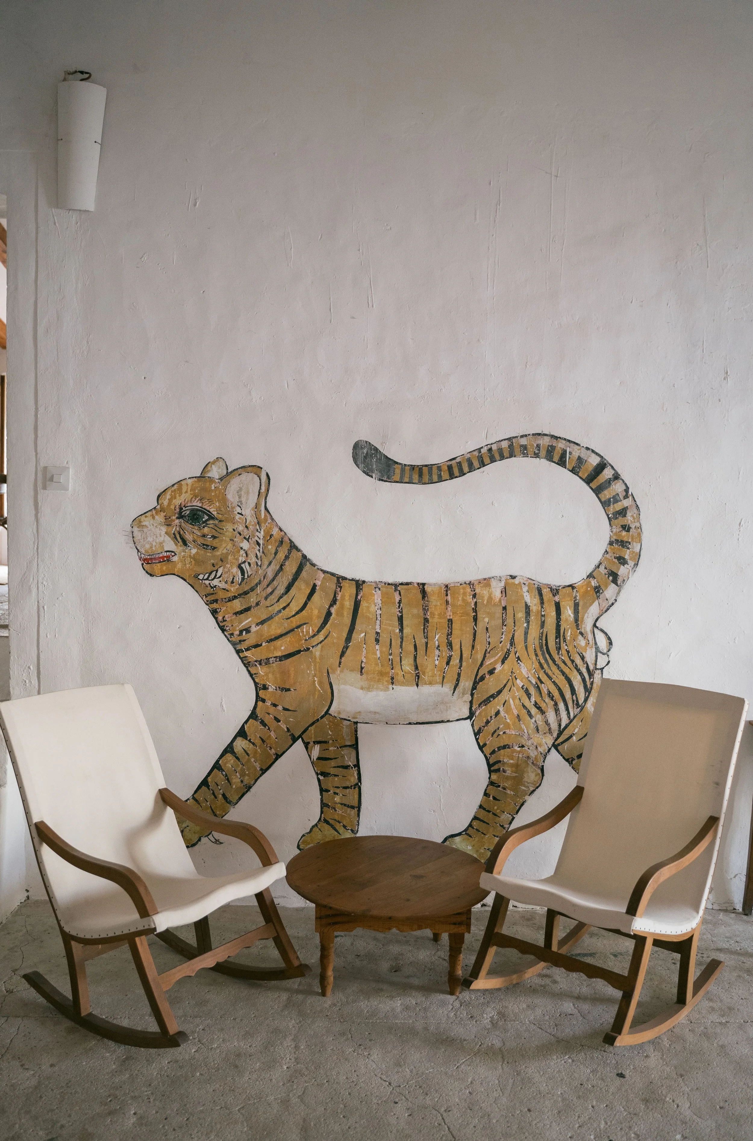 Tigre 2- Small.jpg