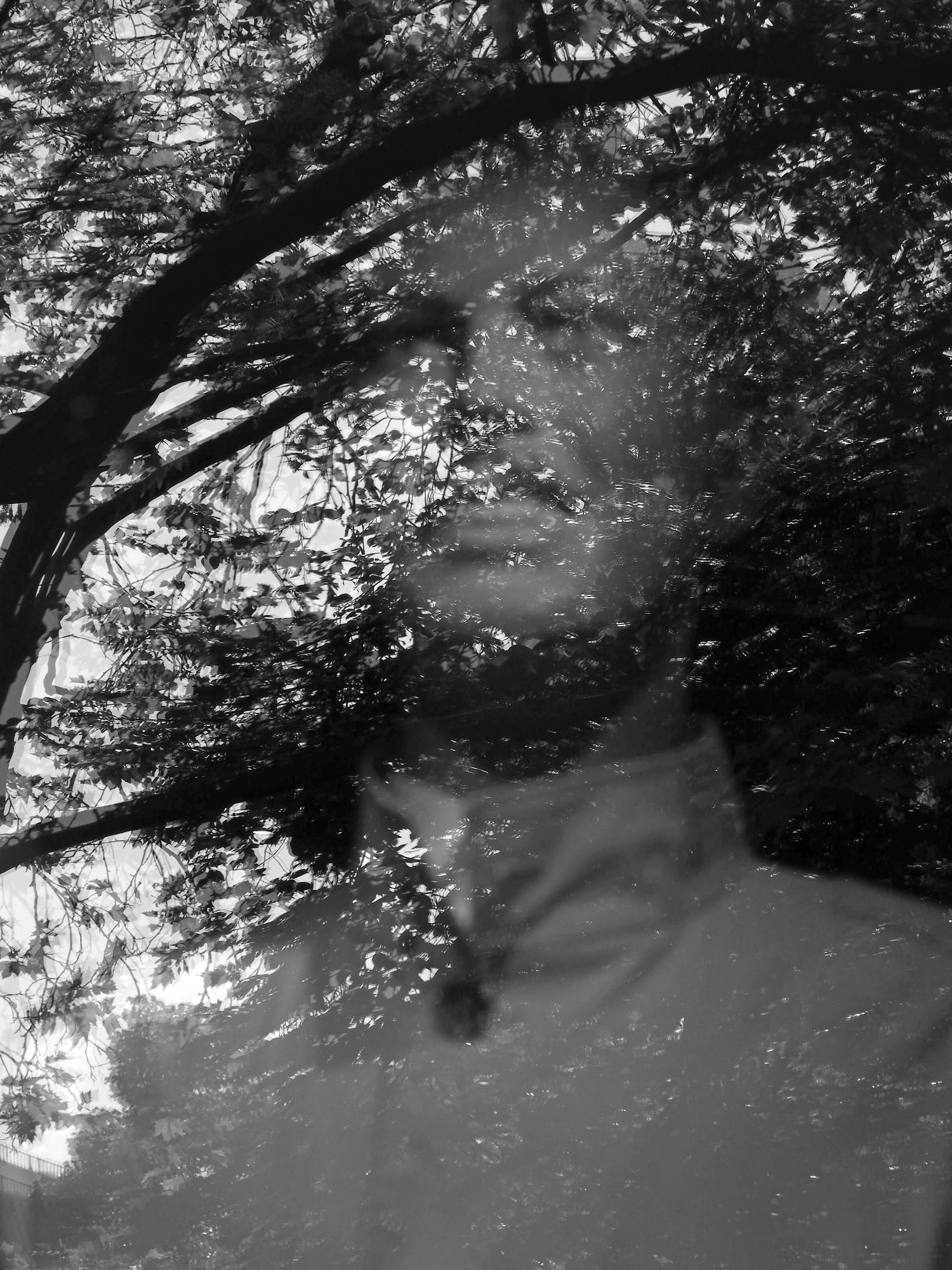 Sie tauchen auf – in spiegelnden Fensterscheiben von Zugabteilen, unter Plastikfolien, in der stillgestellten Szenerie medizinischer Notfallübungen. 