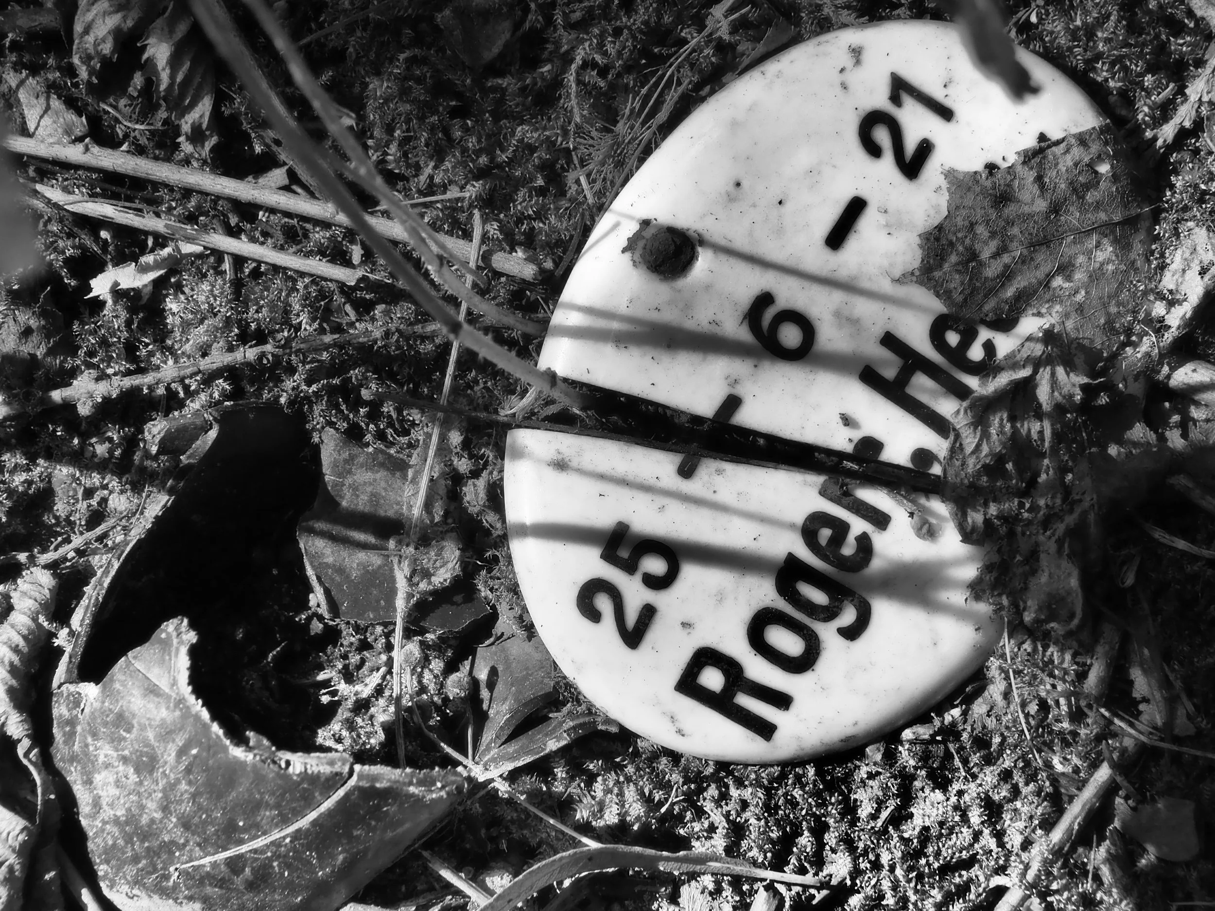 Die letzten Beerdigungen fanden 1962 statt. Das Jahr, in dem die Fotografin geboren wurde.