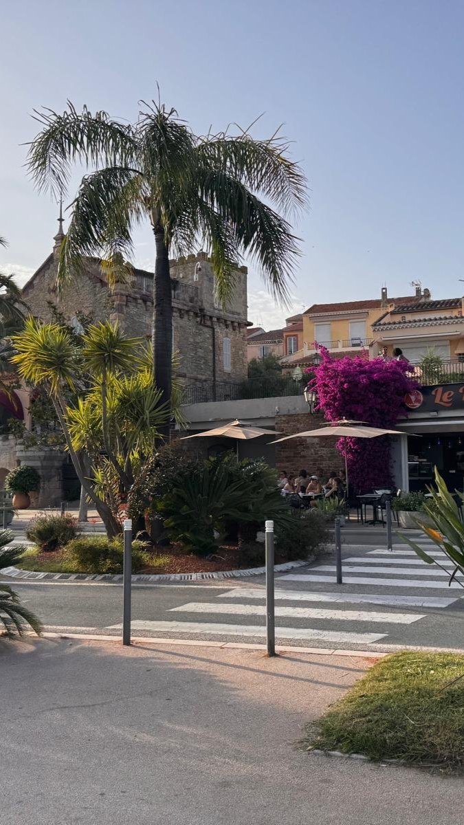Street view with palm tree, purple flowering vine, outdoor seating at a cafe, and historic buildings in background on a sunny day.