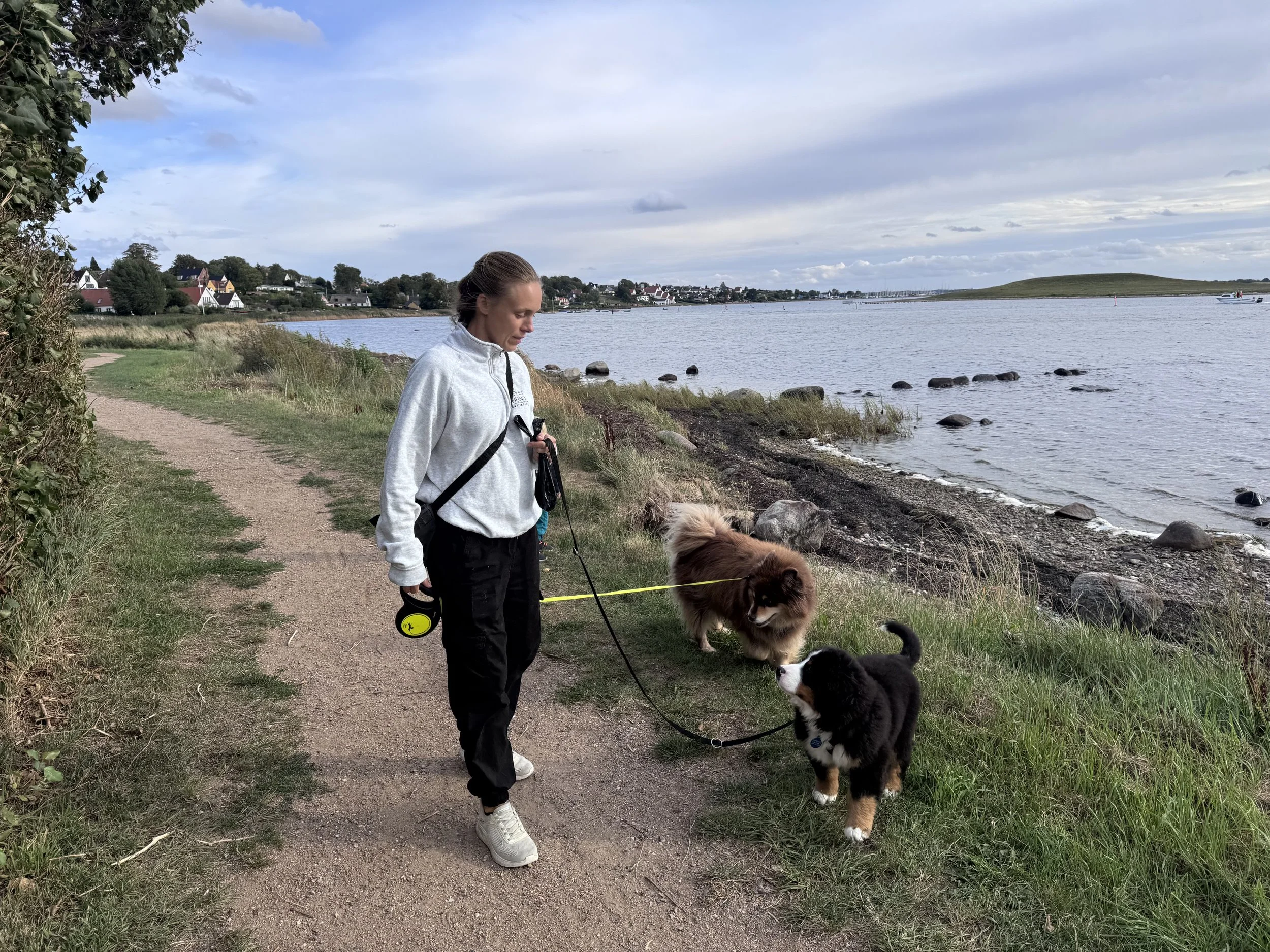 Hvalpedagbog: Uge 3 med Balto