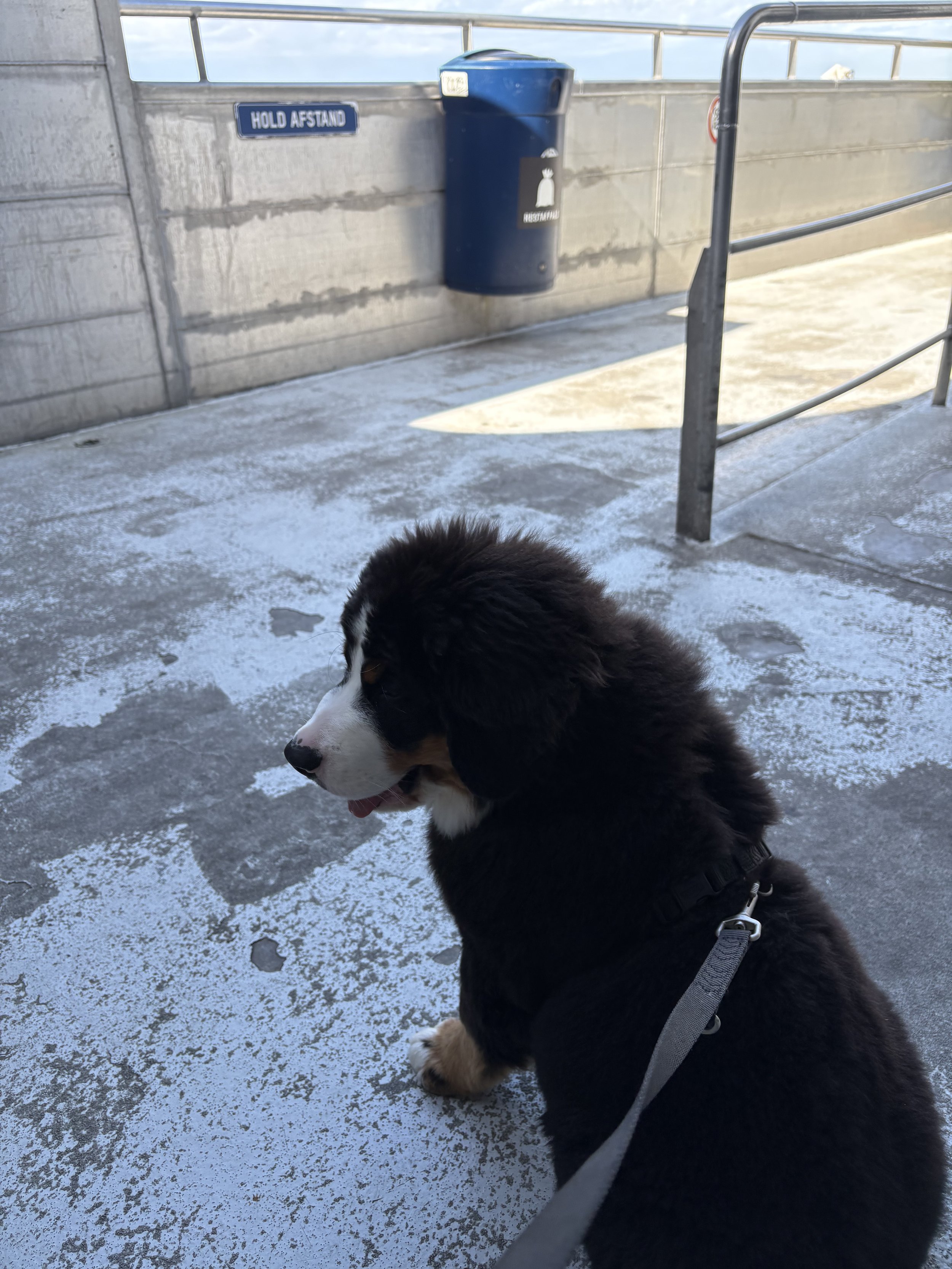 IMG_7163.jpeg