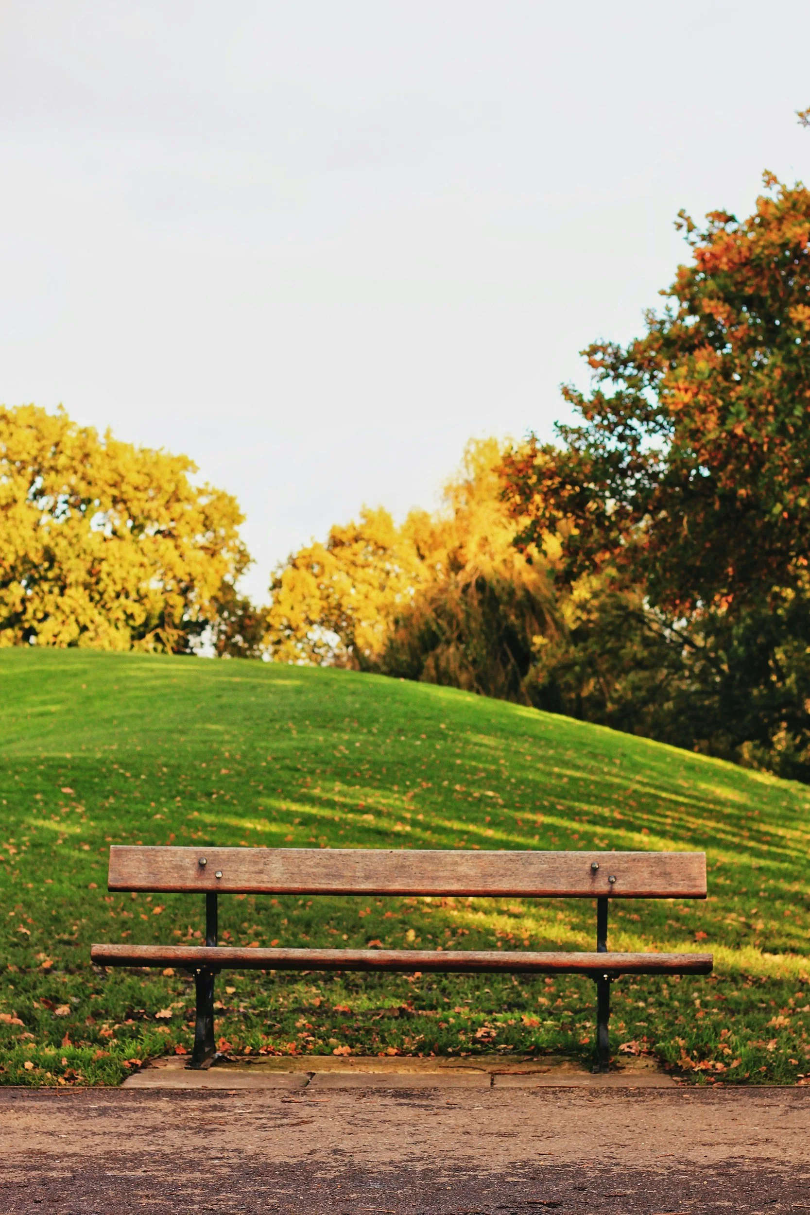 An empty park bench