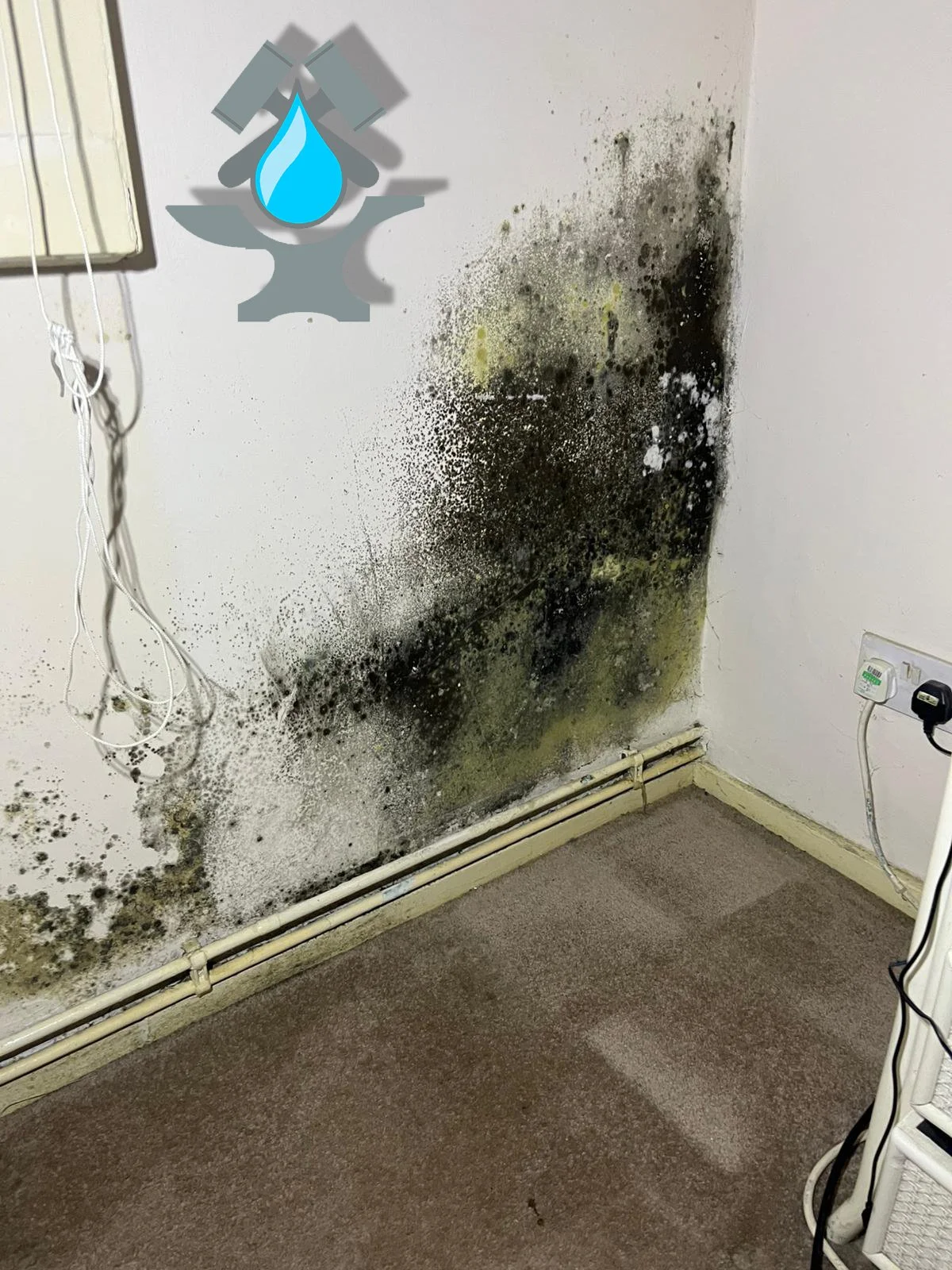 Mould clean