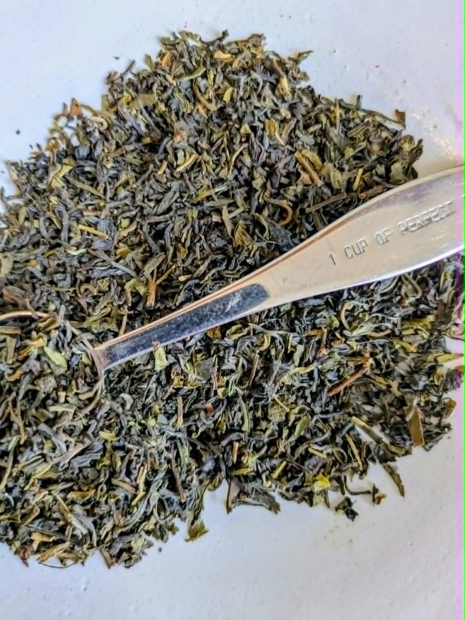 First Light Darjeeling Green