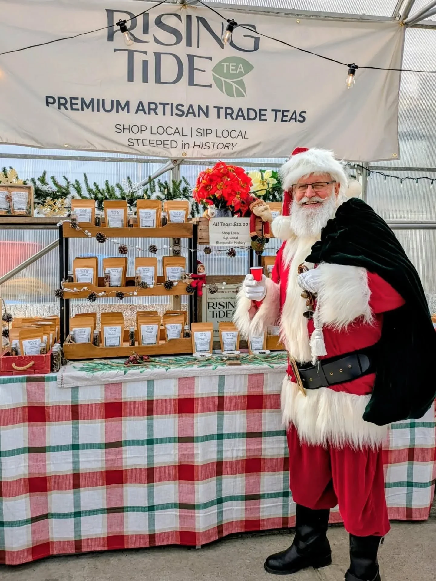 Ship’s Log: Entry No. 003 - Christmas at the Public Gardens