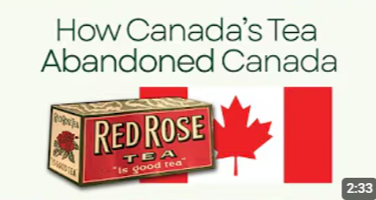 Ship’s Log: Entry No. 008 - The Red Rose Legacy —”Only in Canada”. And Why That Matters Now.
