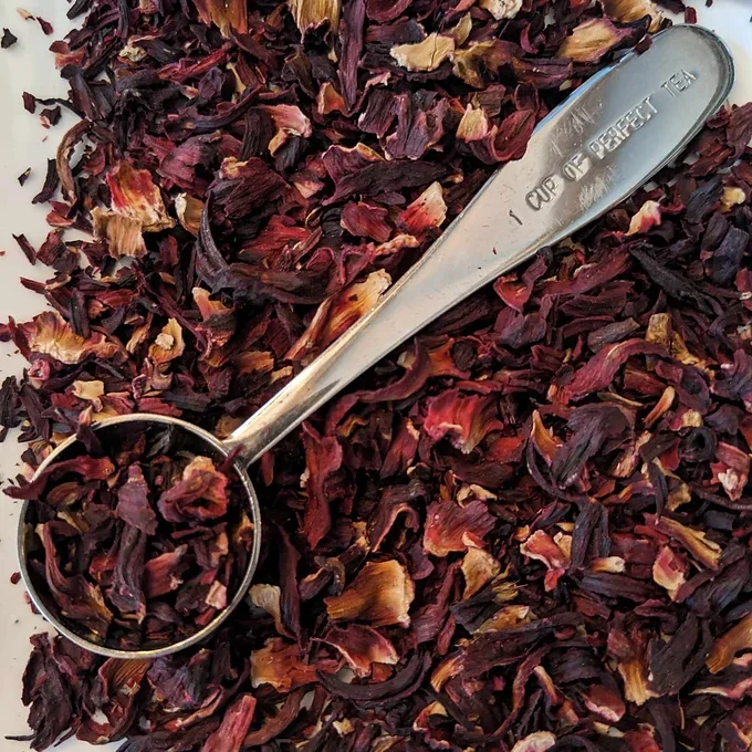 Crimson Tide - Hibiscus