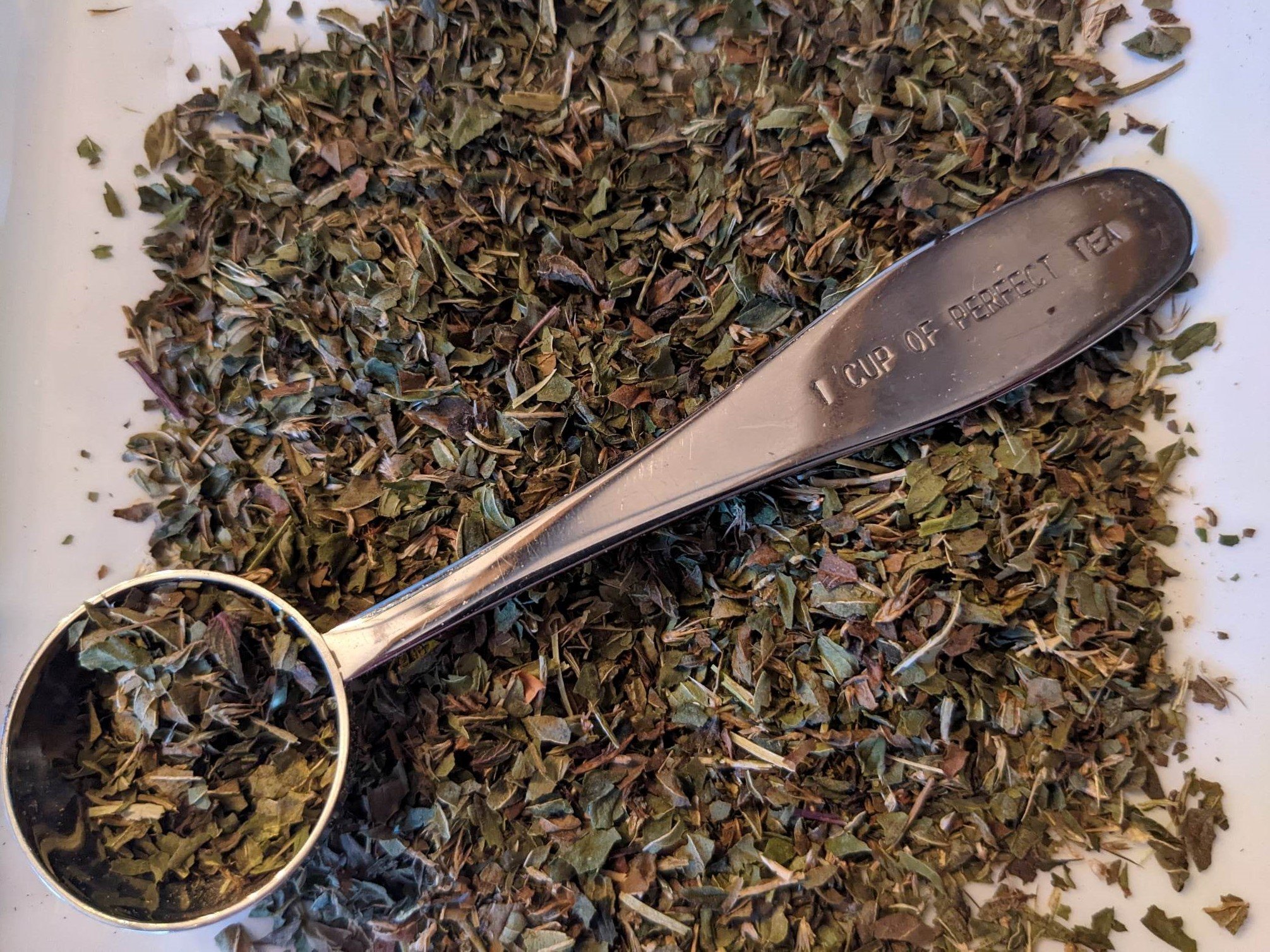 Sea Breeze Peppermint