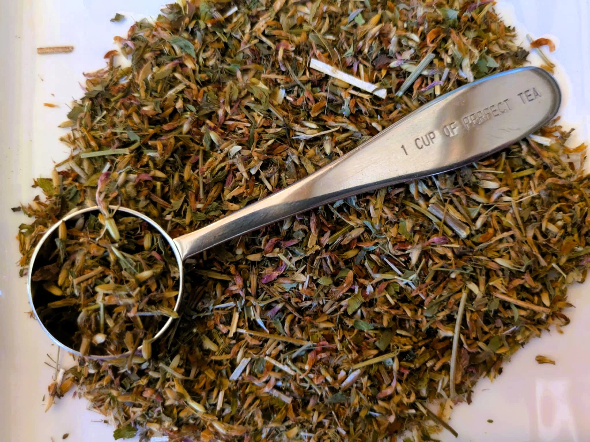 Harbour Bloom - Red Clover