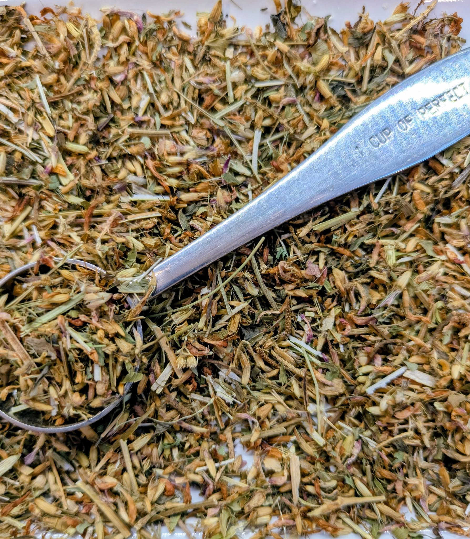 Stillwater Red Clover