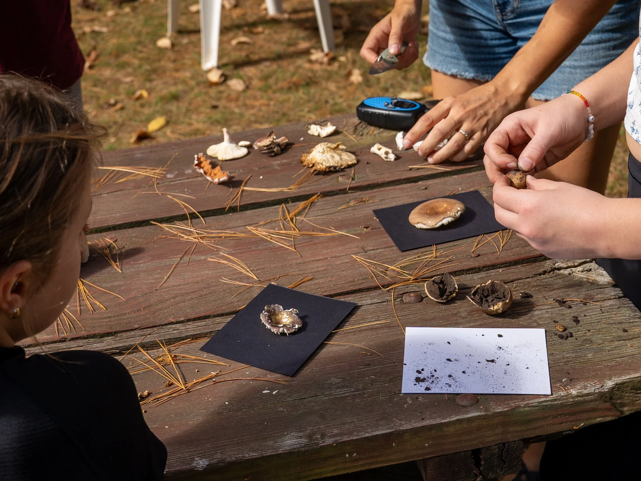 People examining and collecting different mushrooms on a wooden picnic table outdoors.