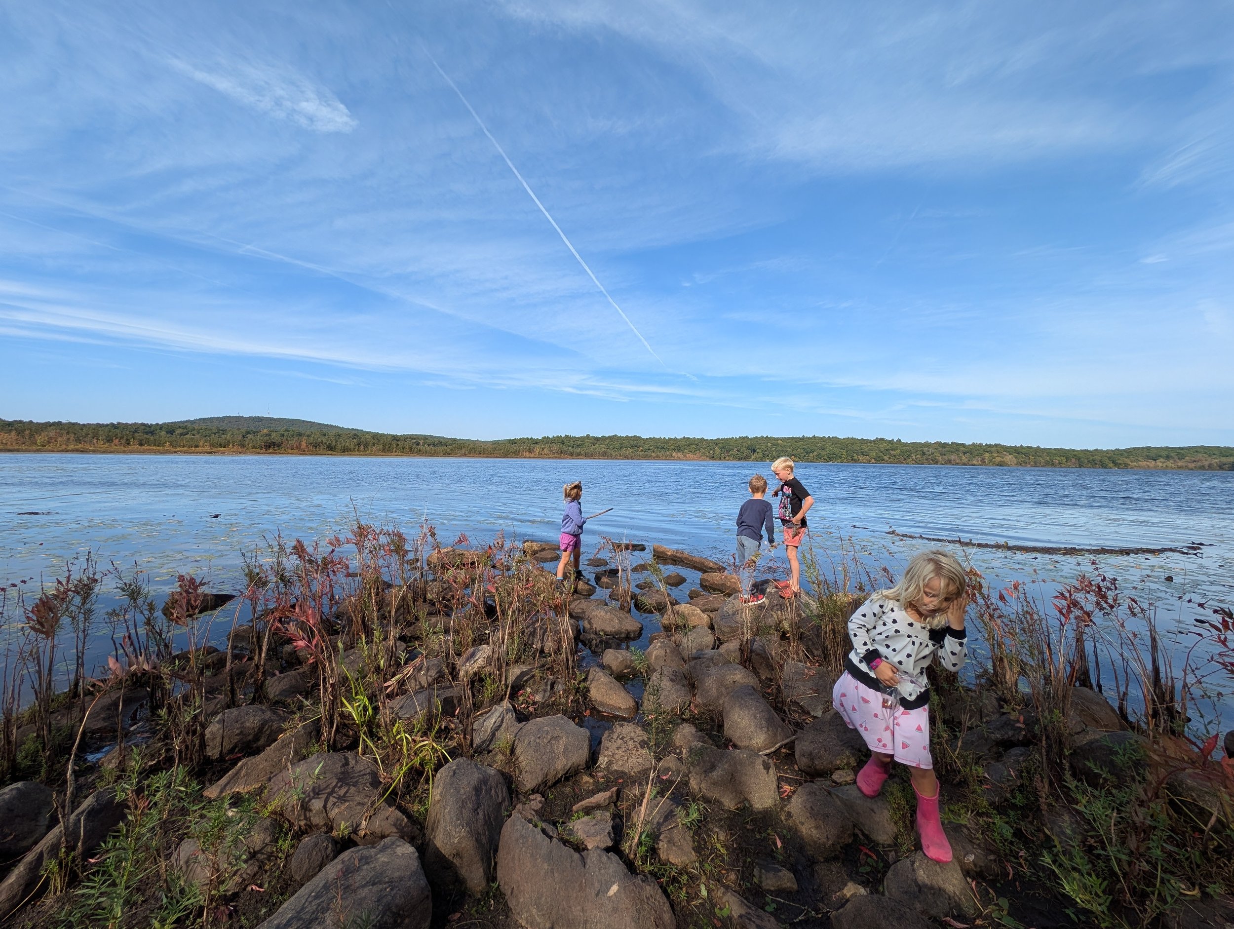 Group of children exploring on rocky shoreline by lake under clear blue sky.