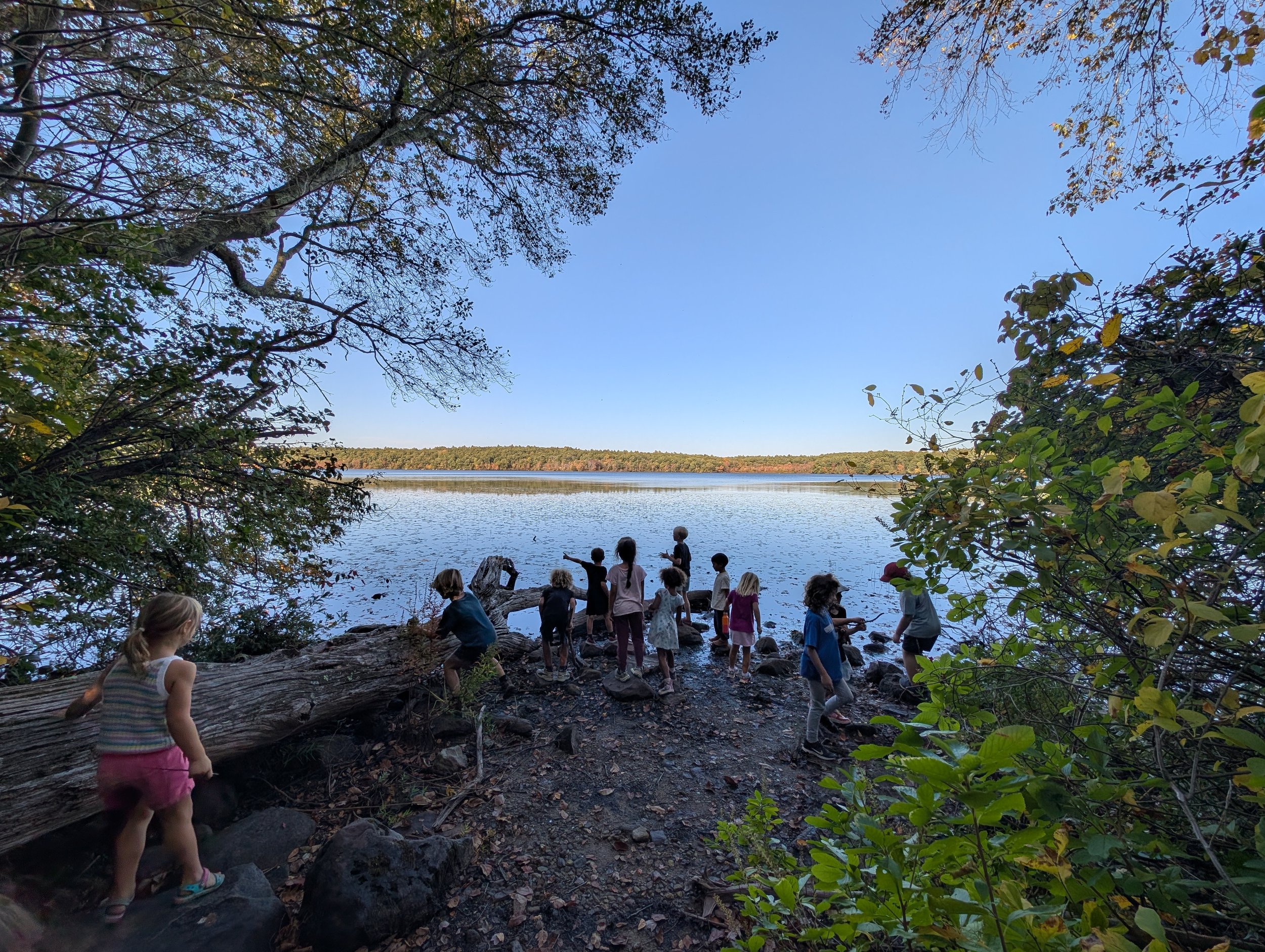 Children exploring by a lake, surrounded by trees and bushes, with clear blue sky and a distant treeline across the water.