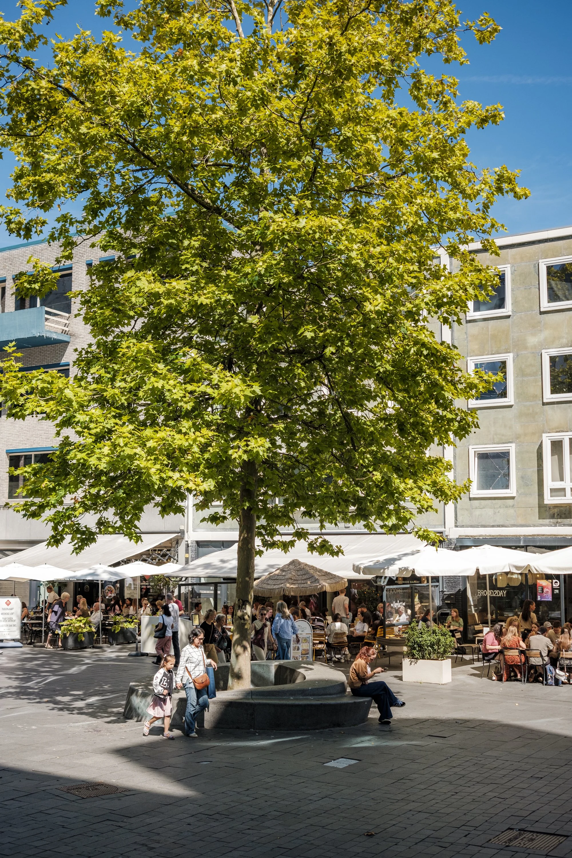 20250809_EHV365_MaxKneefel_MK11396.jpg