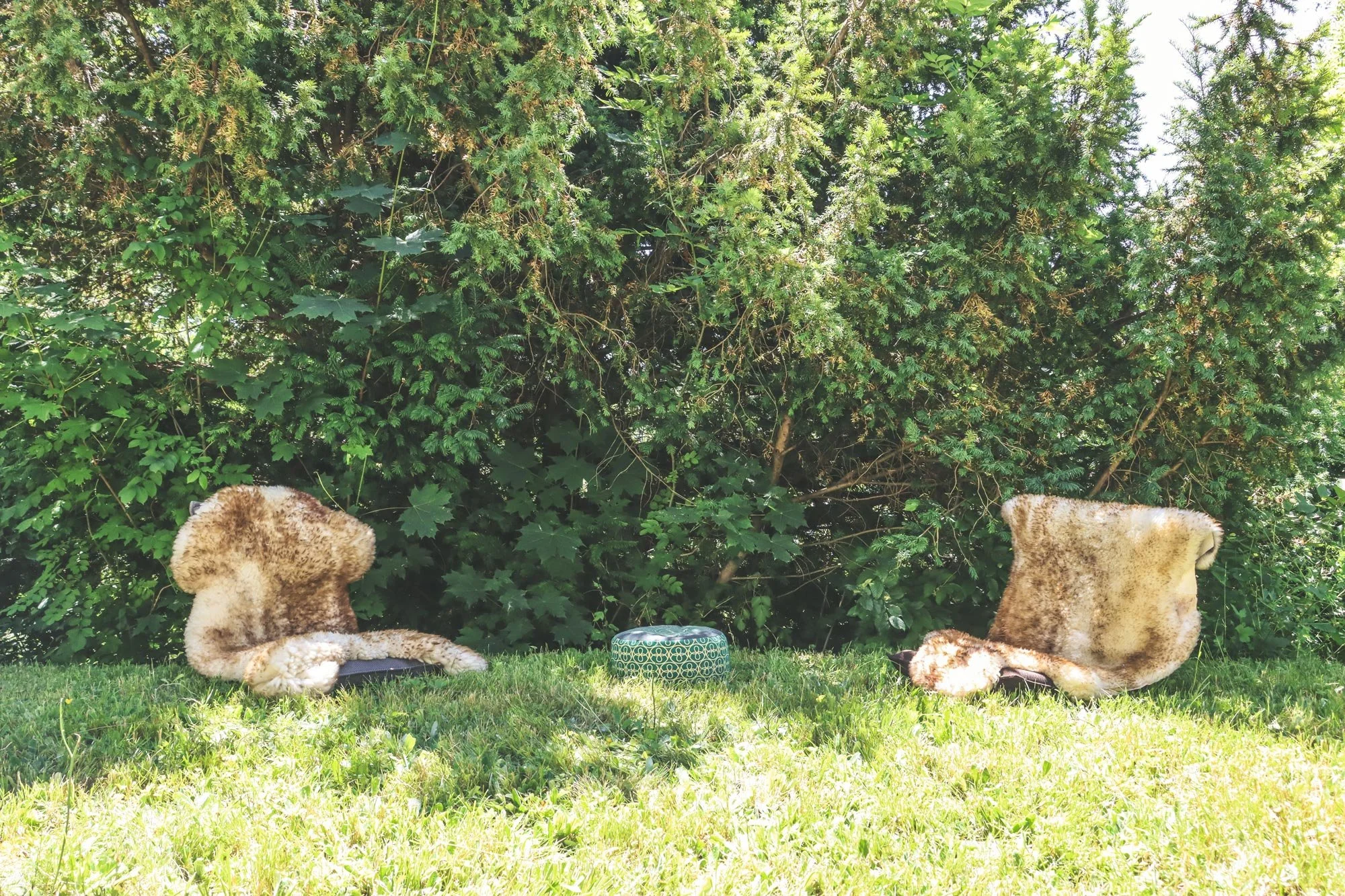 Begegnungsabend „Bewusst Sein“