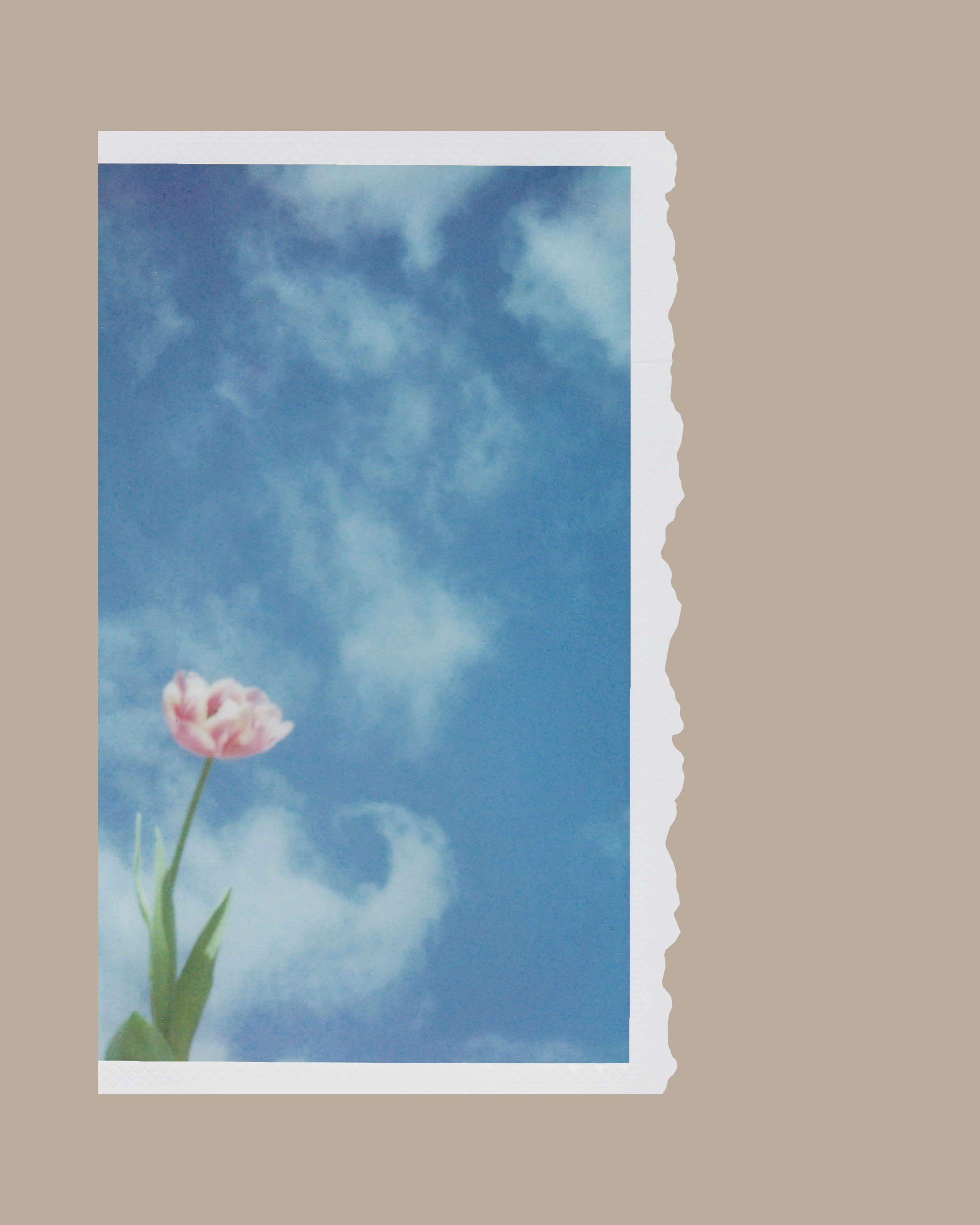 Trauma-Informed Social Work