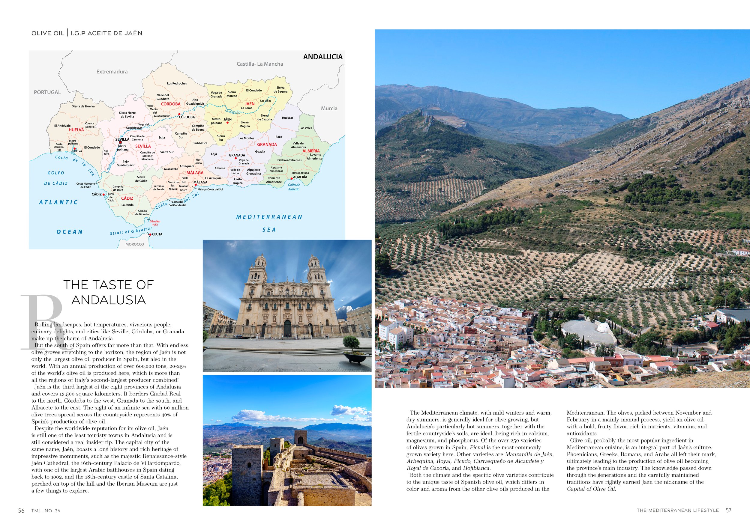 JAEN Aceite de Oliva (2).jpg