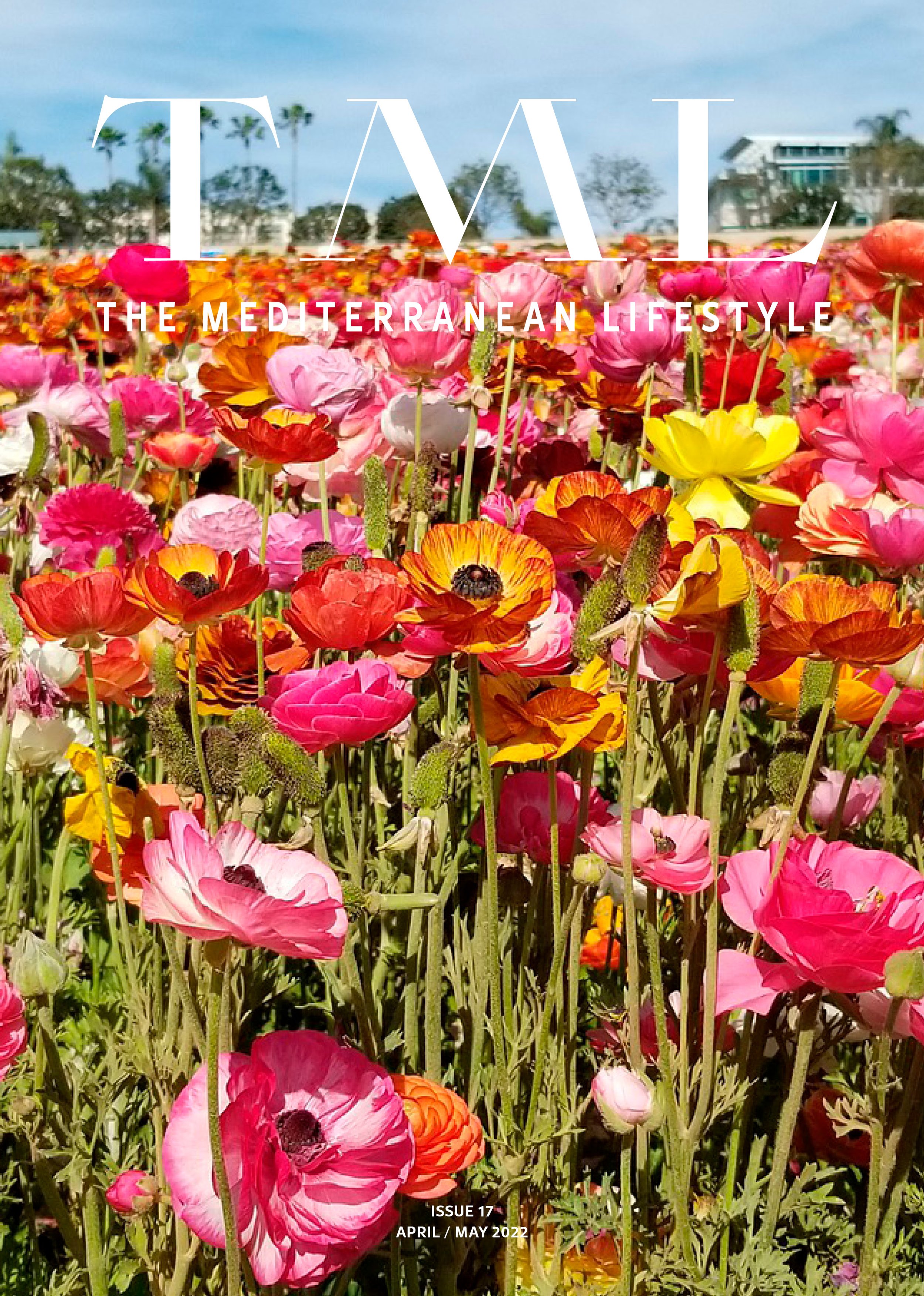 TML Magazine Issue 17