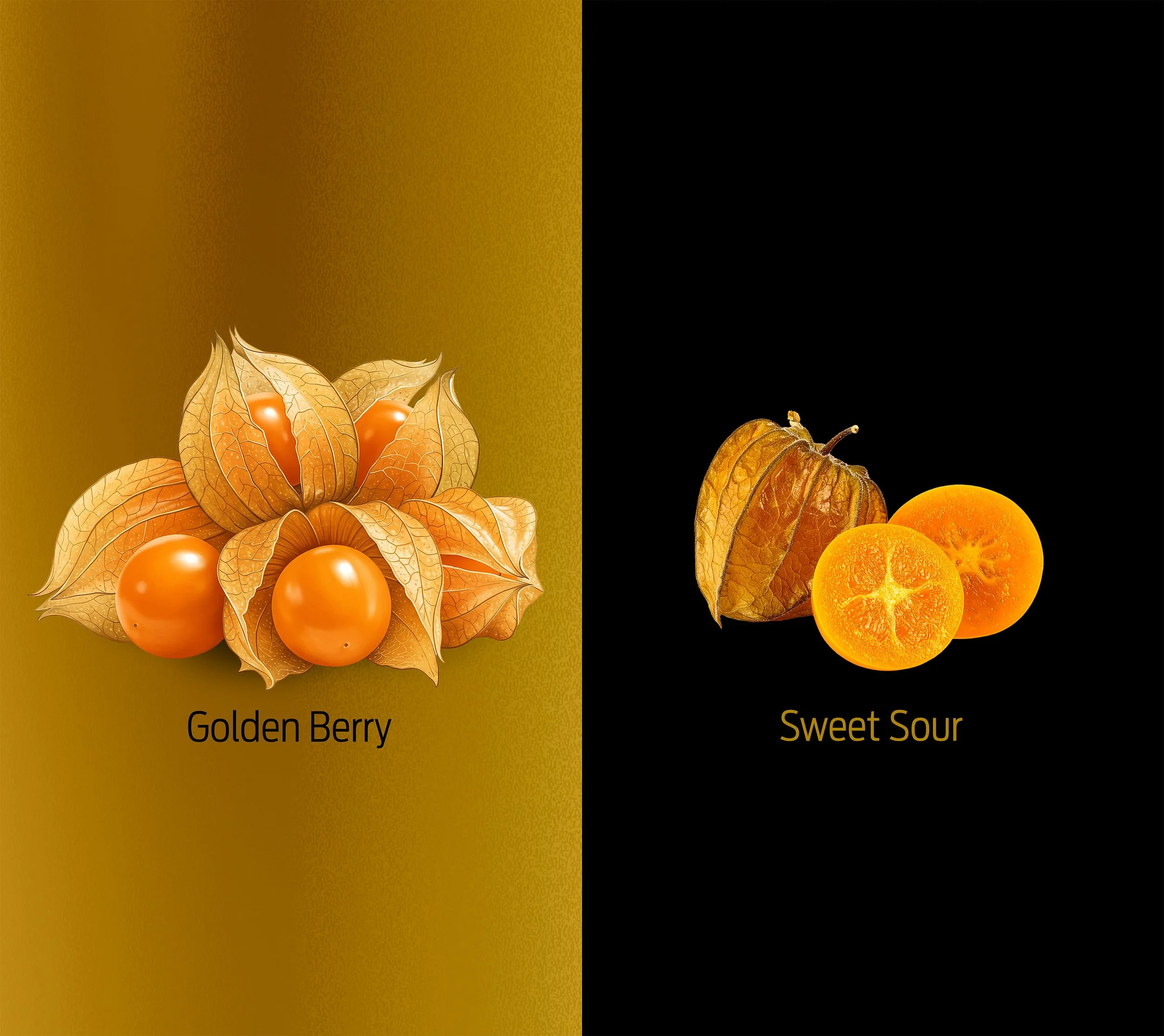 Comparison of two physalis fruits: a golden berry on the left with a gold background, and a sweet sour physalis on the right with a black background.