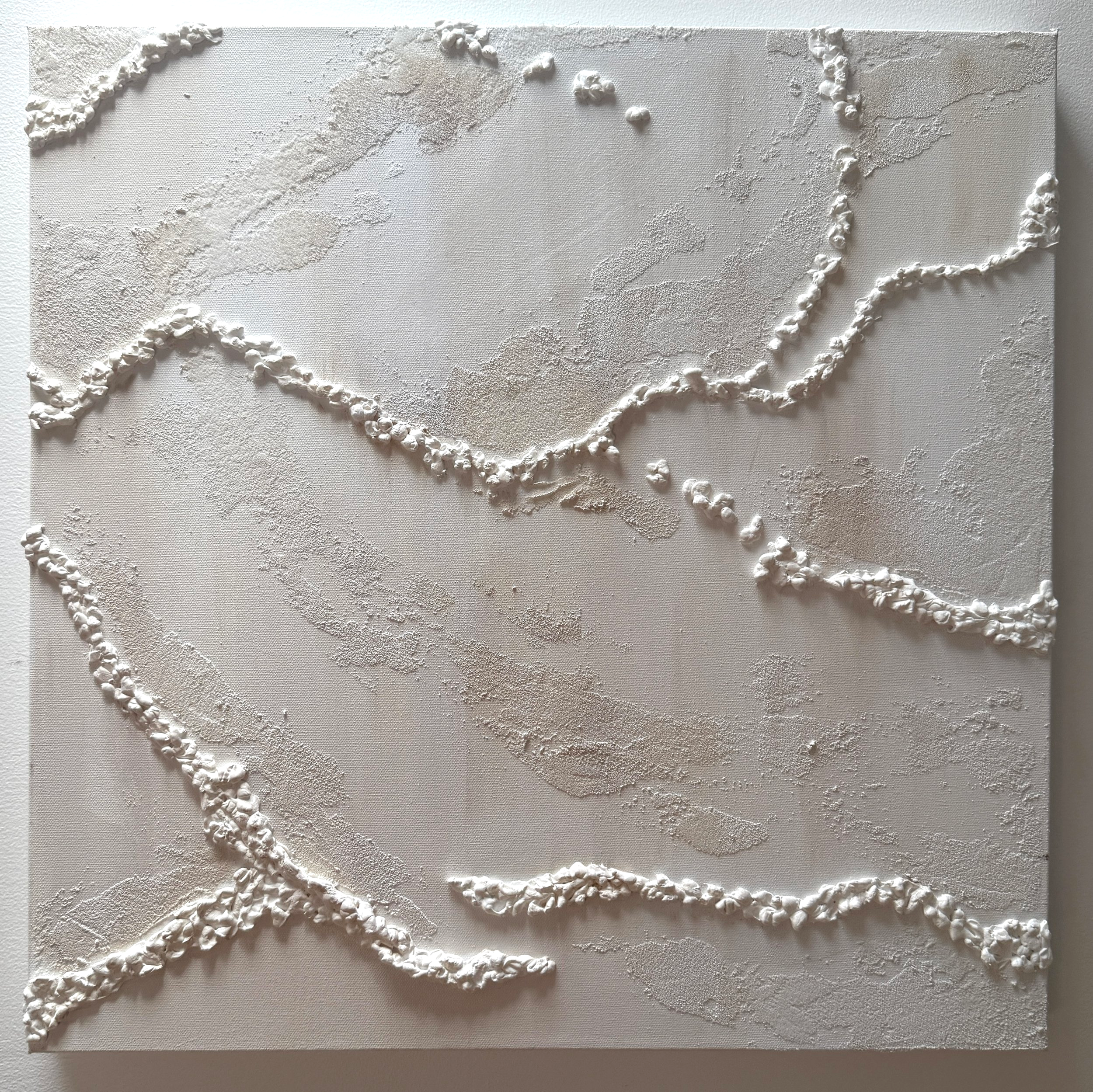 TIDELINES II
Acrylic and mixed media on canvas
24 x 24 inches (2 OF 2)