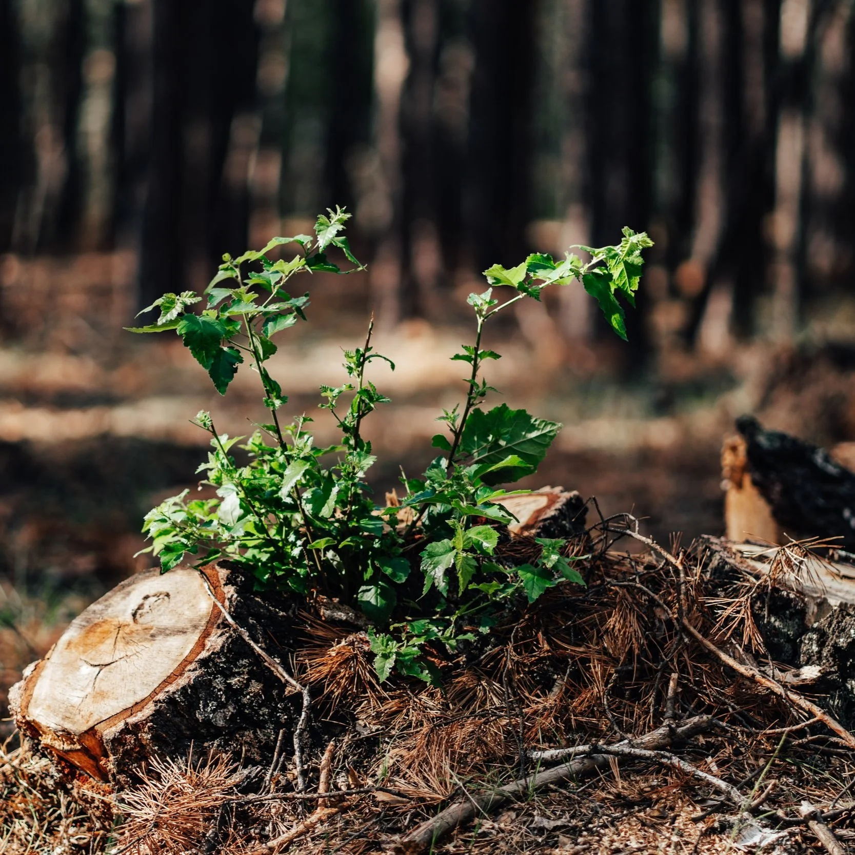 MTV? - Integrity Matters 