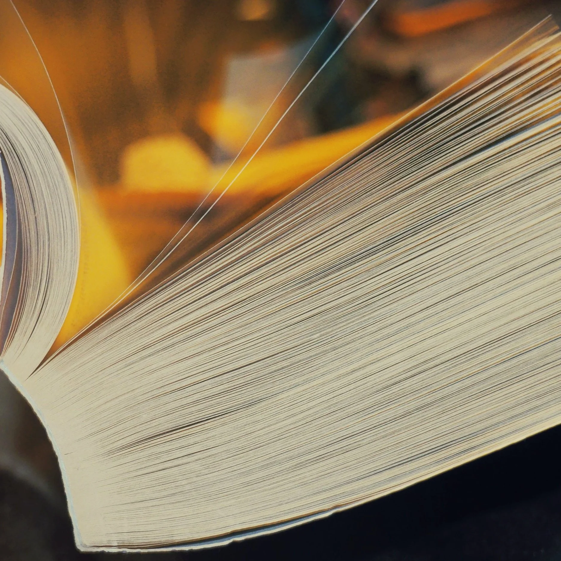 Sunday's Talk - The Book of Life - Richard Moy