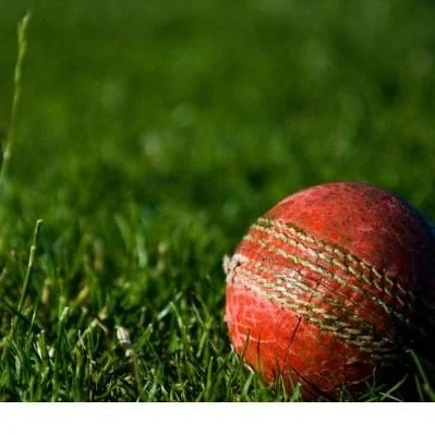 MTV? - When You're Backed into a Corner 