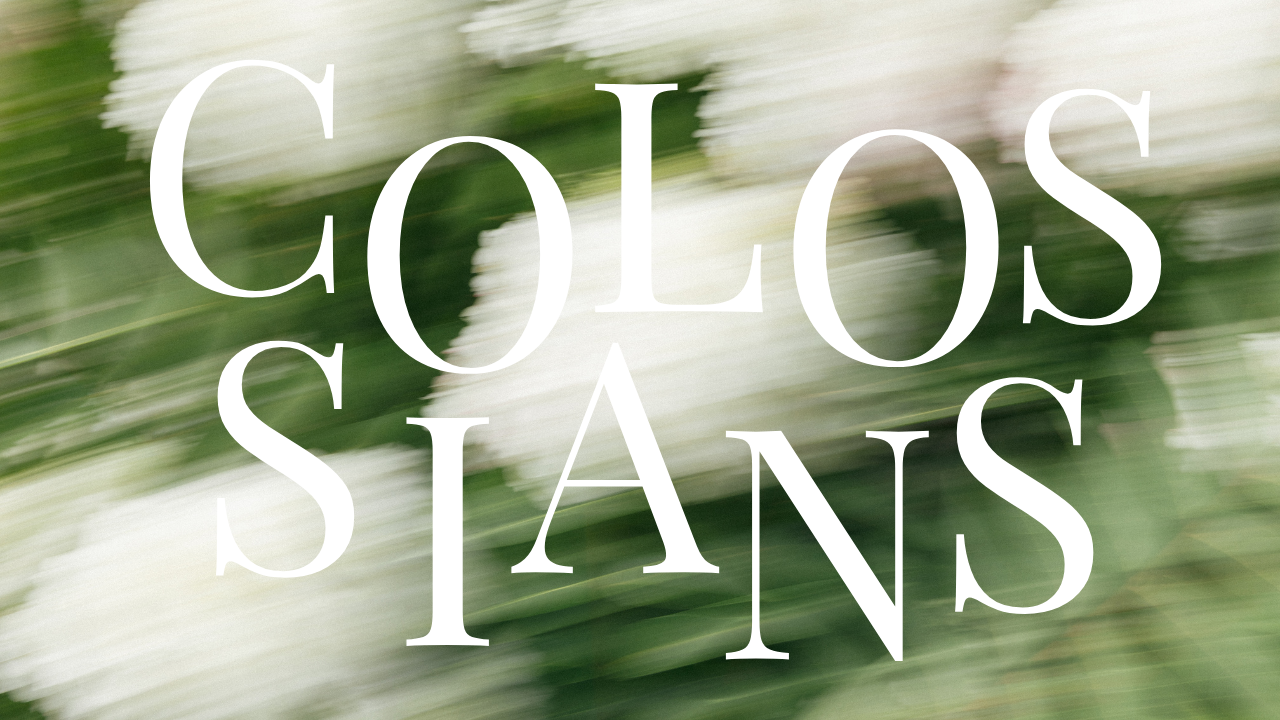 Colossians 1:15–23 