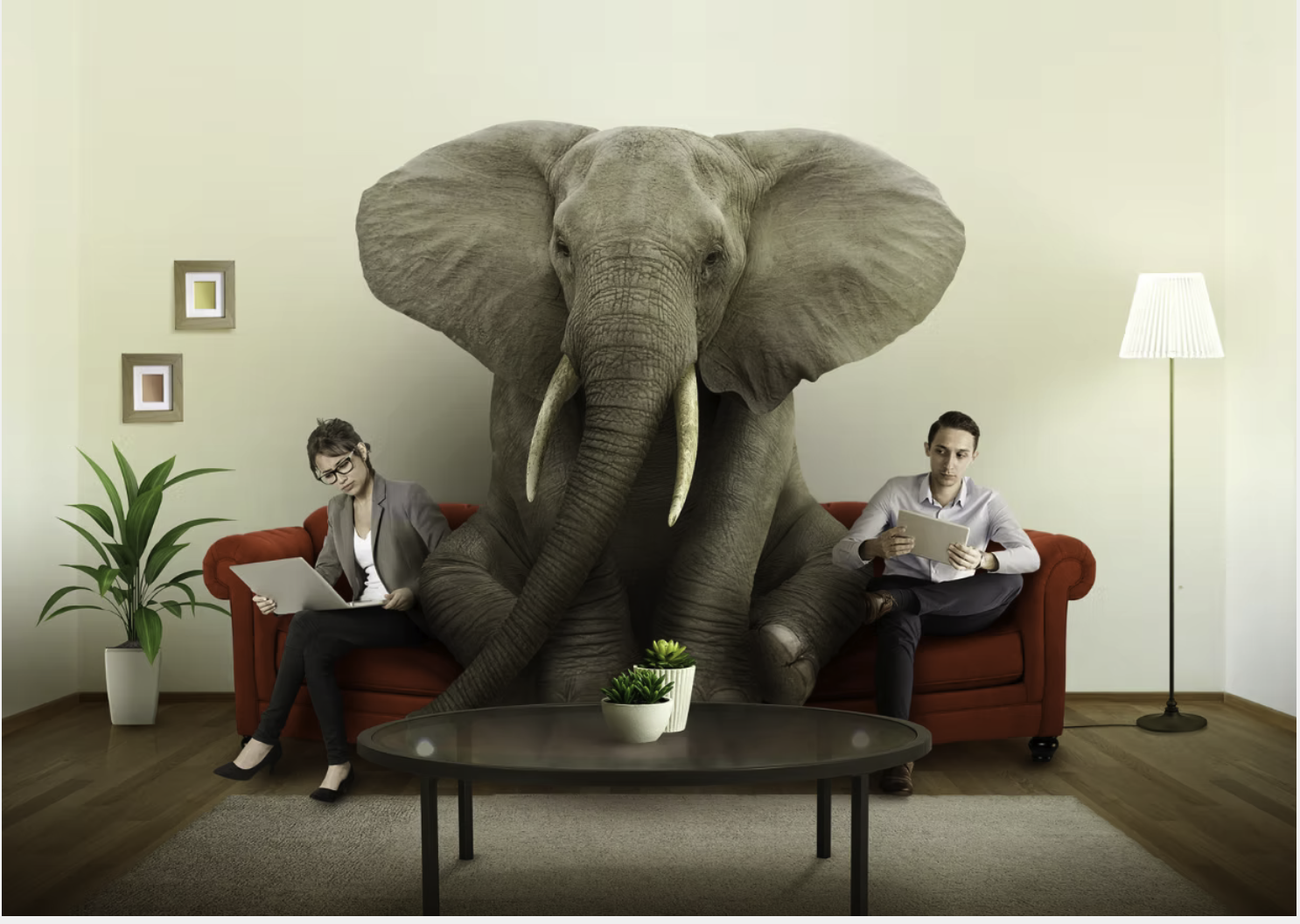 Elephant really tired of being only one addressed in the room
