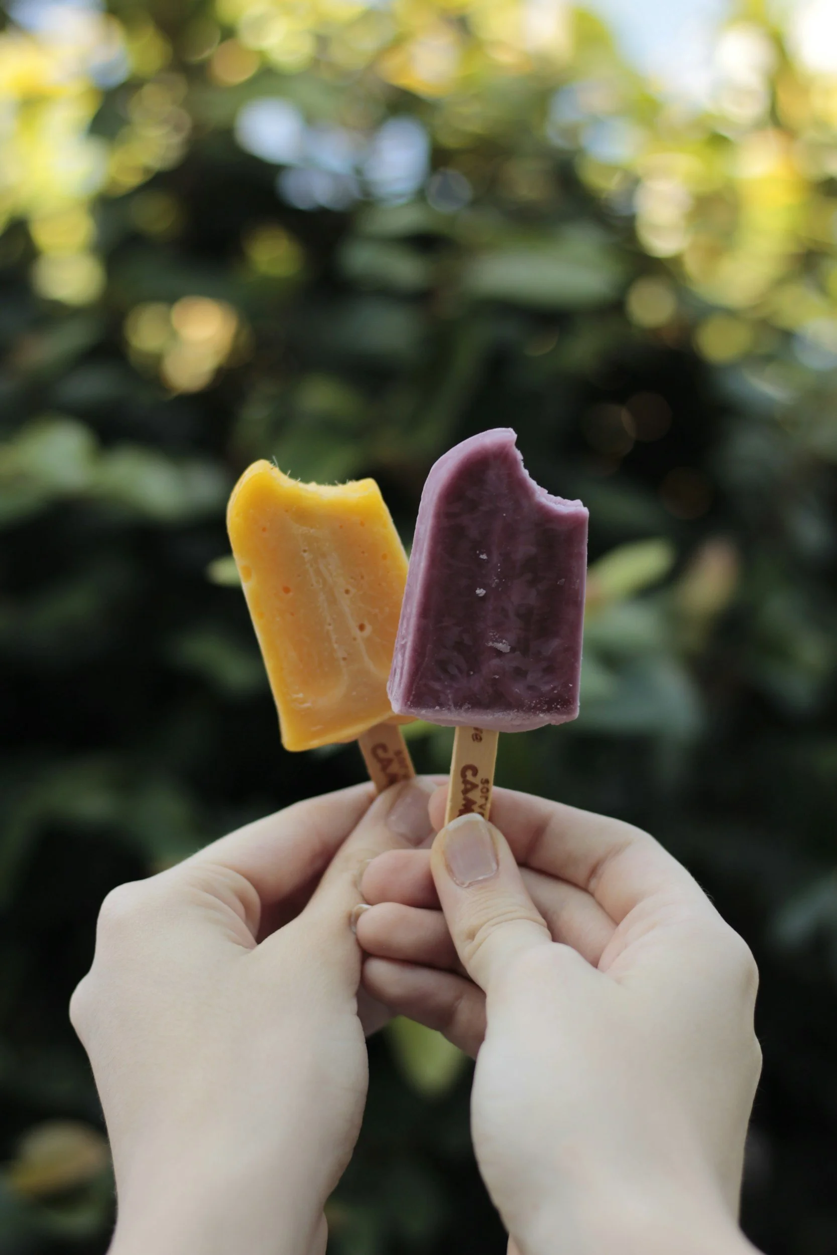 Welcome Back To School Popsicle Party!