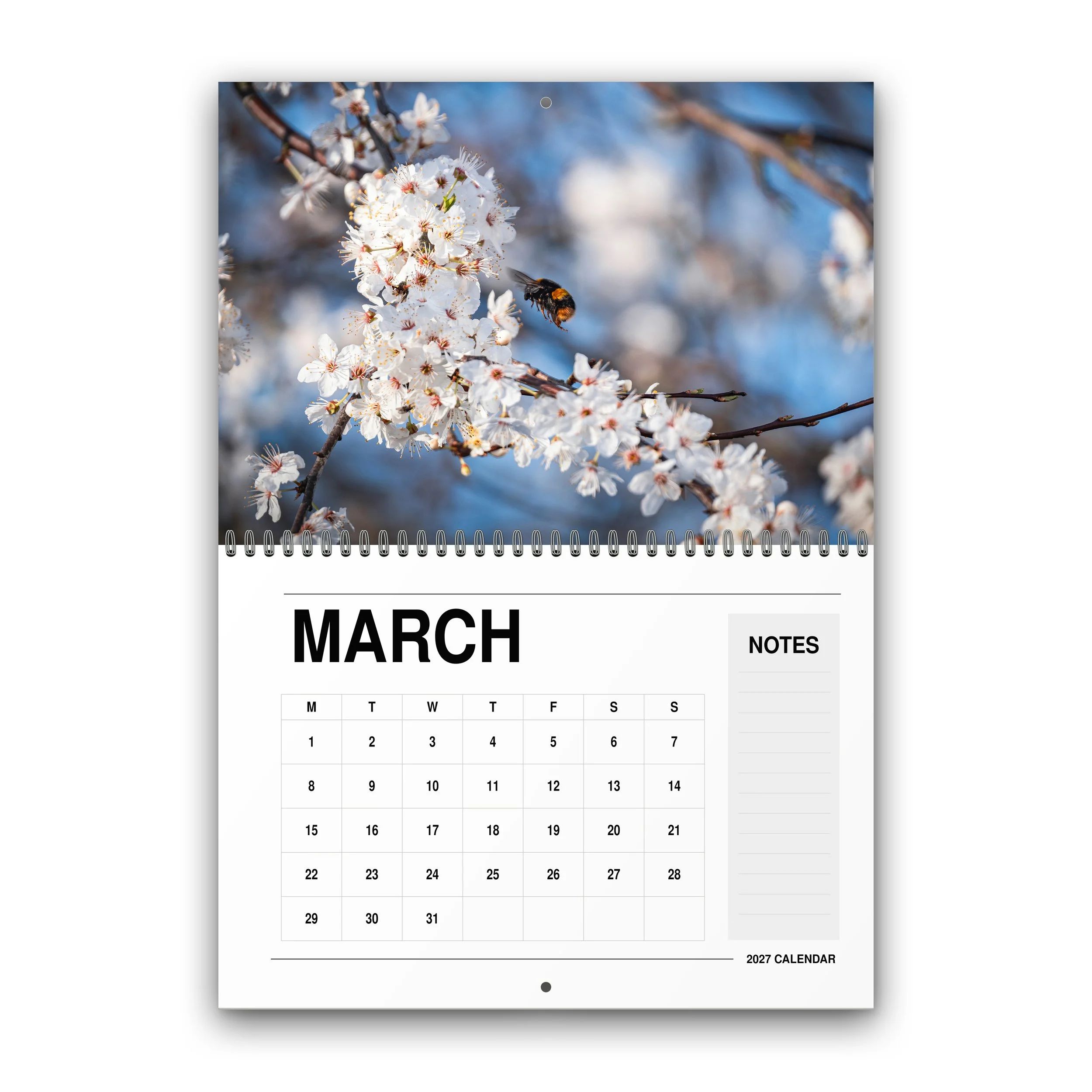 Wildlife Calendar - 2027 - March - Month Preview.jpg