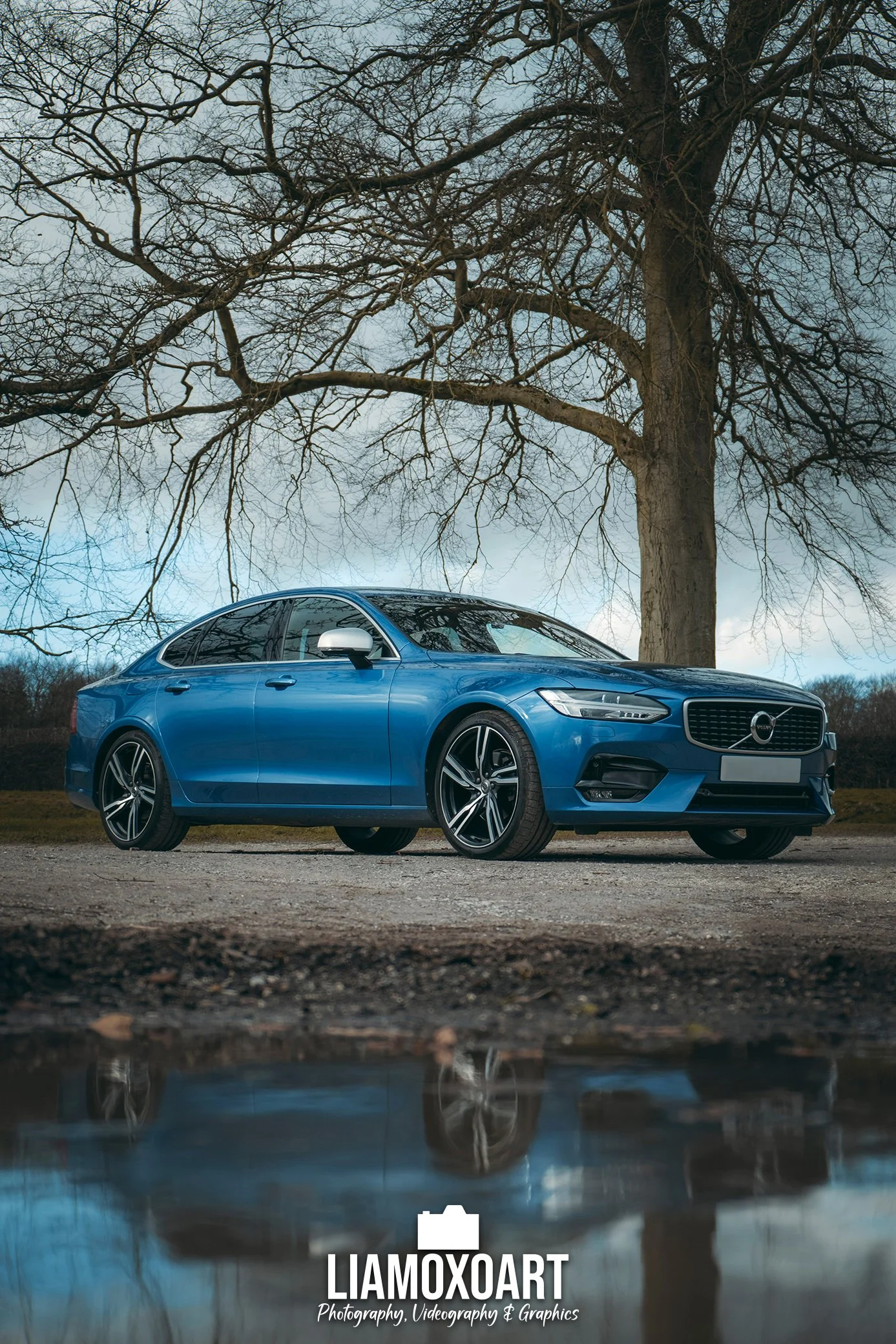 Blue sedan car parked under a large, leafless tree with a cloudy sky in the background.