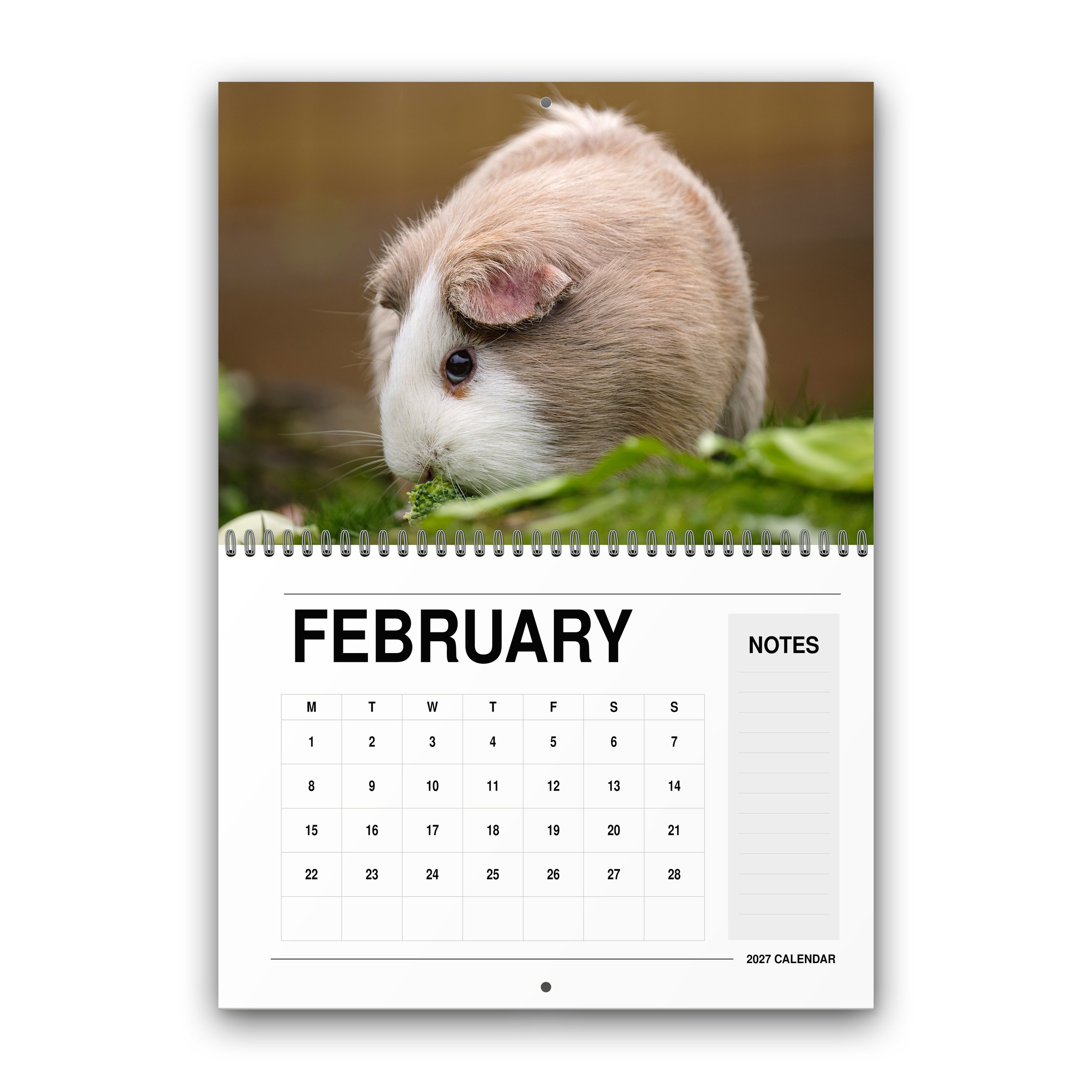 Wildlife Calendar - 2027 - February - Month Preview.jpg