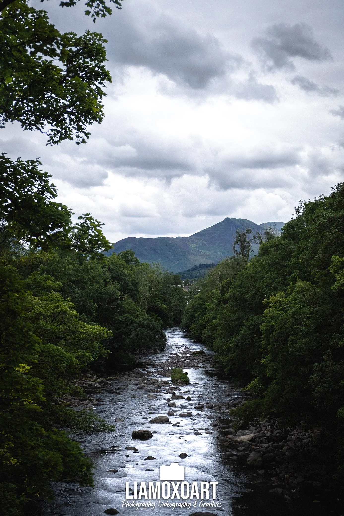 A scenic landscape of a river flowing through a lush green forest with trees on both sides and mountains in the background under a cloudy sky.