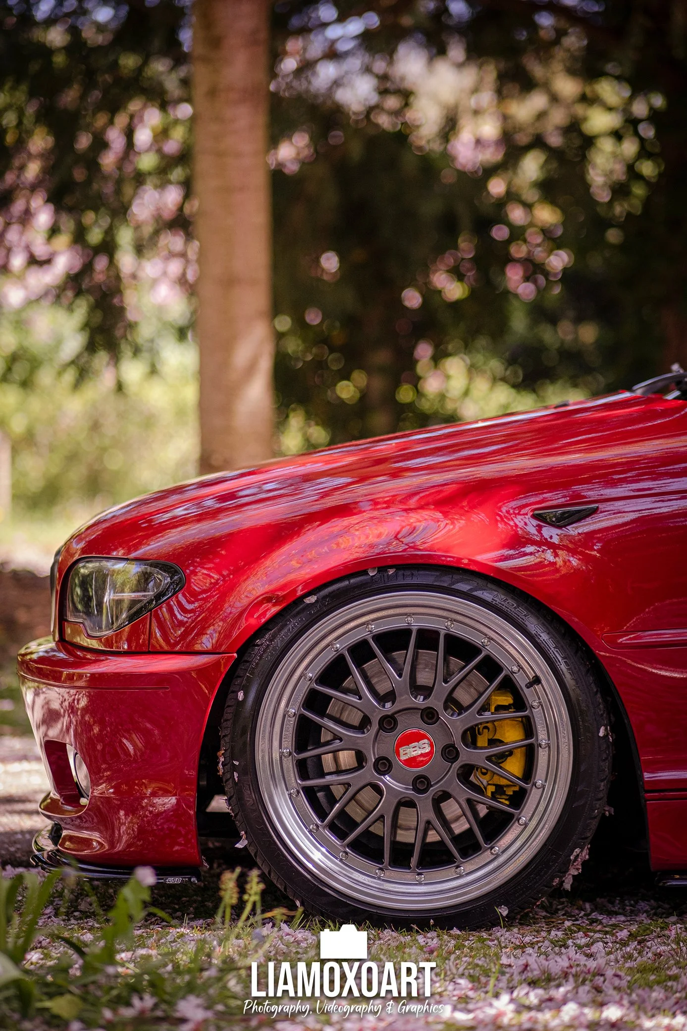 Close-up of the front part of a shiny red sports car parked outdoors, showing the wheel, tire, and a part of the headlight, with a blurred natural background of trees and pink flowers.