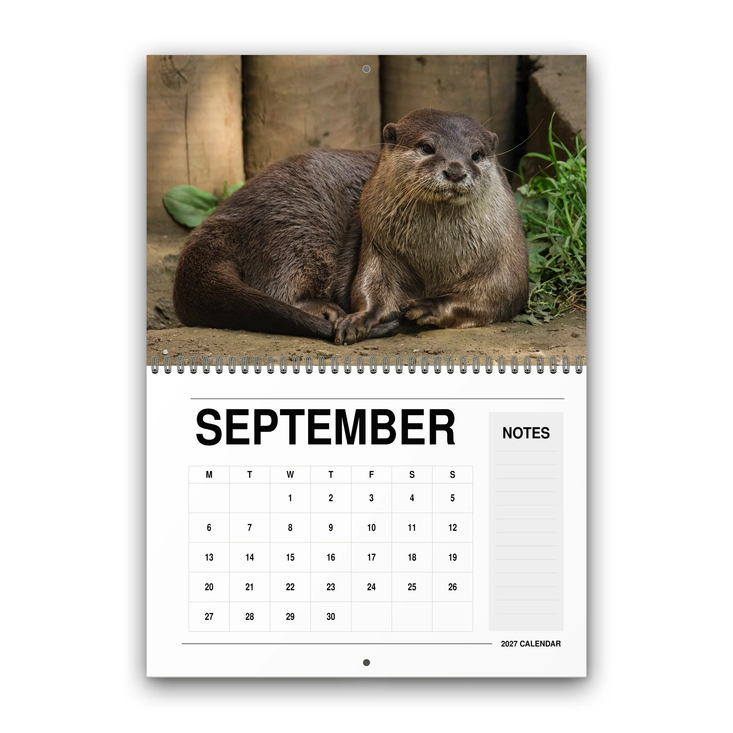 Wildlife Calendar - 2027 - September - Month Preview.jpg
