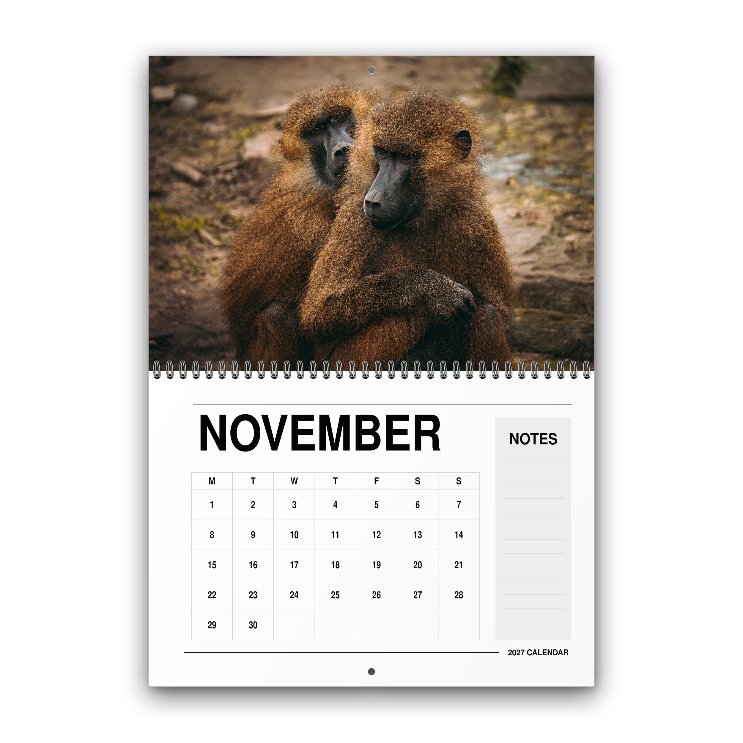 Wildlife Calendar - 2027 - November - Month Preview.jpg