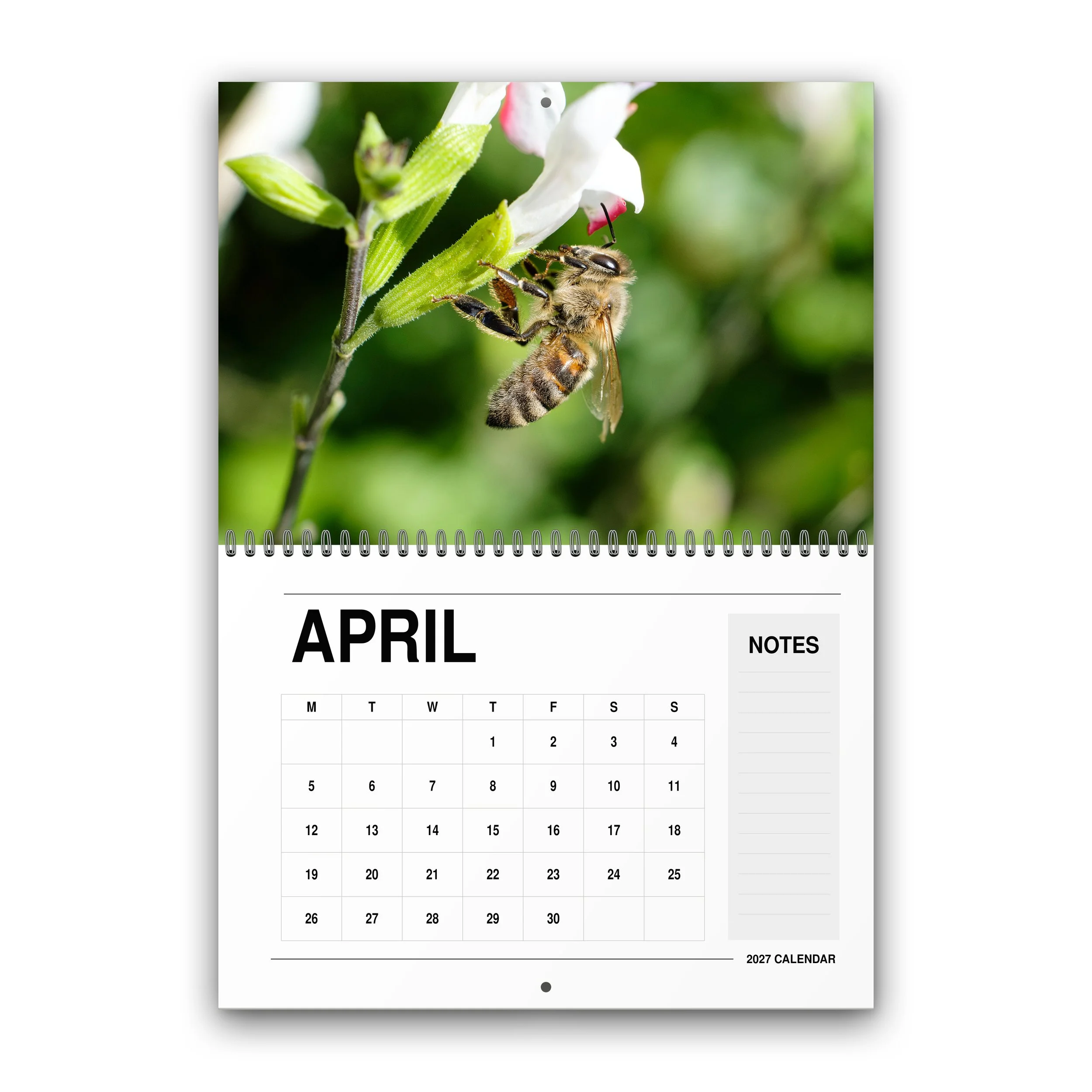 Wildlife Calendar - 2027 - April - Month Preview.jpg