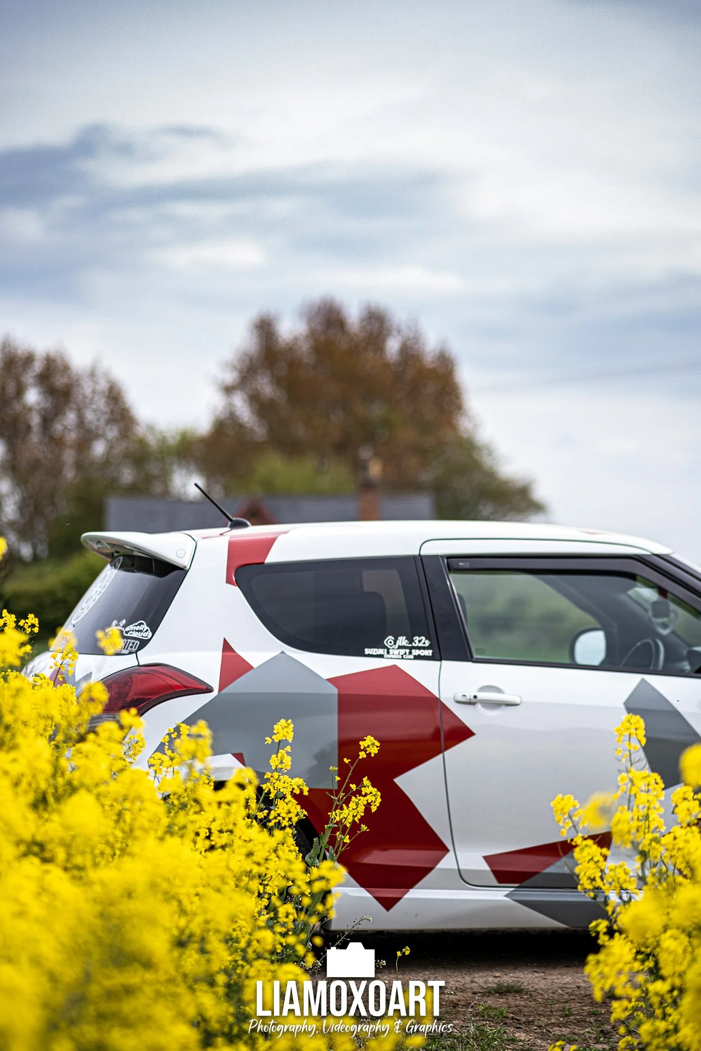 A white car with a geometric red, gray, and black pattern parked in front of a row of trees with yellow flowers in the foreground and a cloudy sky above.