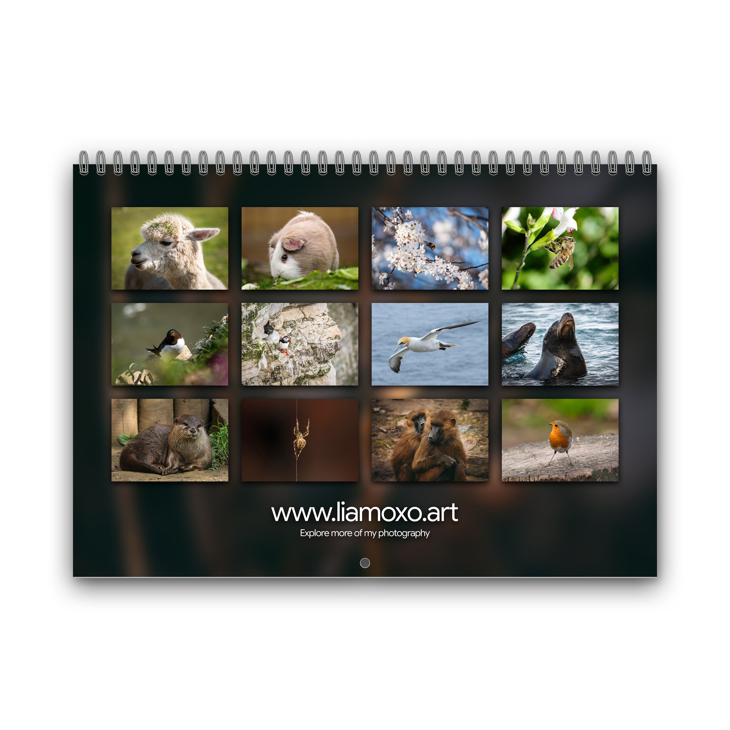 Wildlife Calendar - 2027 - Rear Cover.jpg