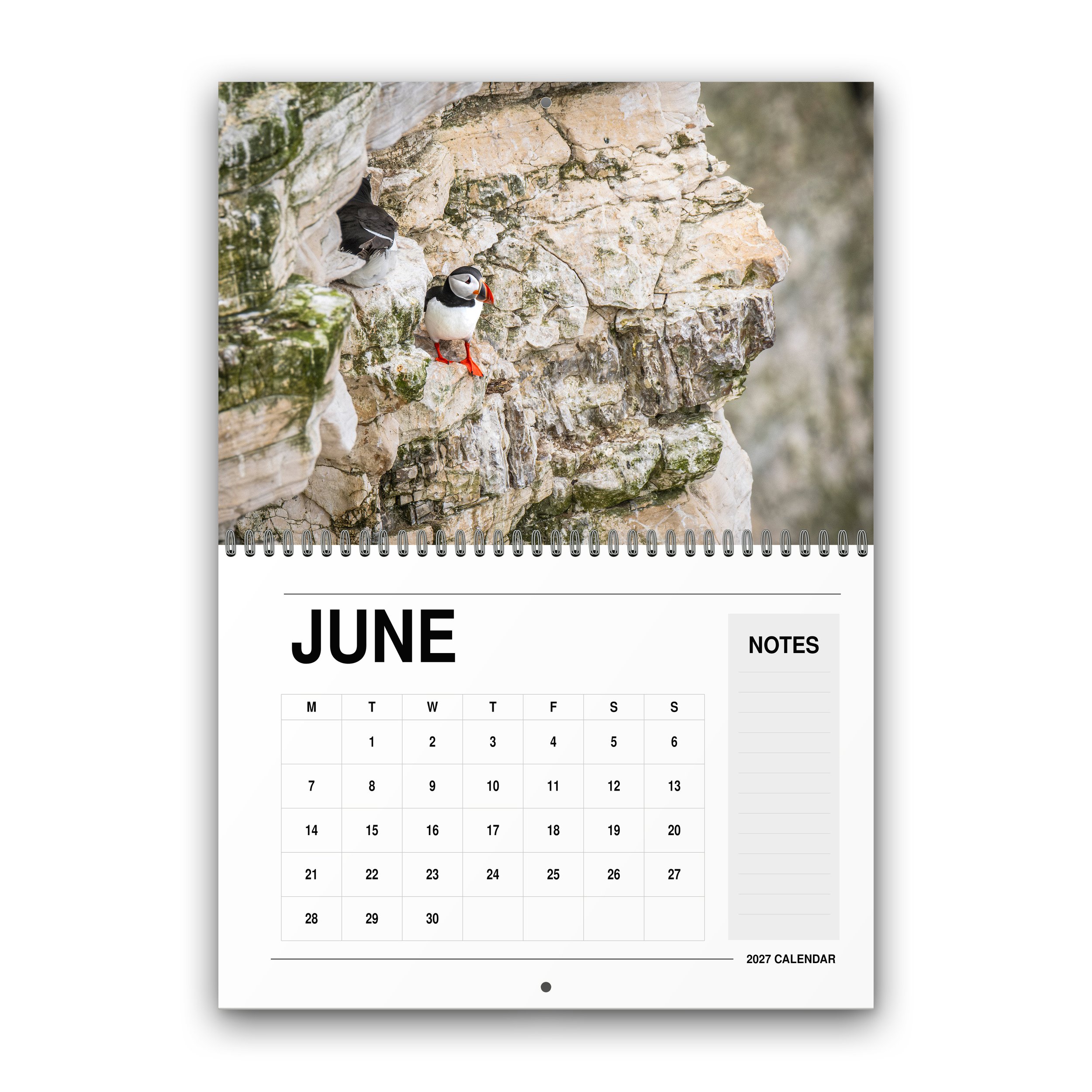 Wildlife Calendar - 2027 - June - Month Preview.jpg